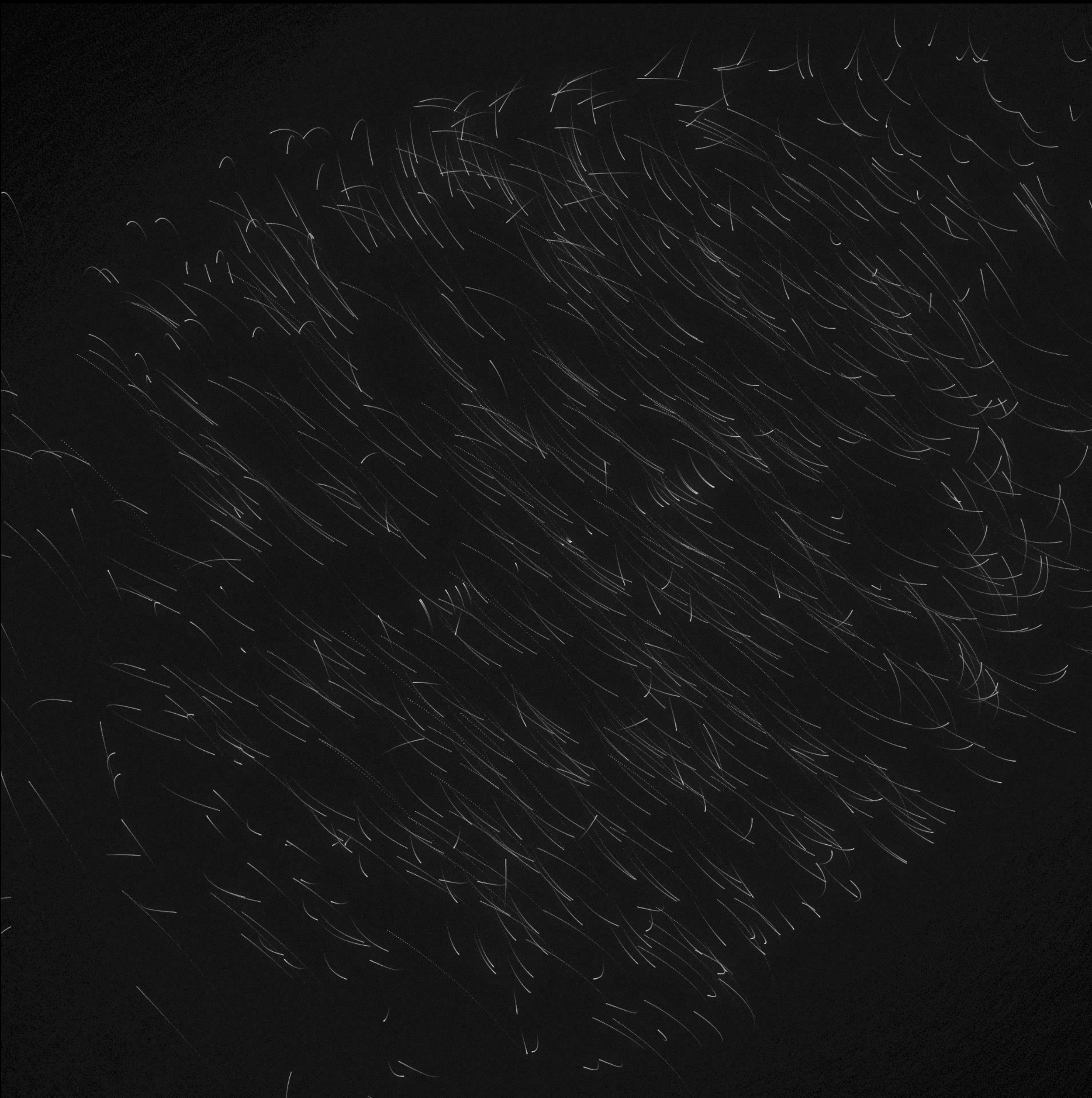 Screenshot 2026-03-31 at 9.39.01 AM.png