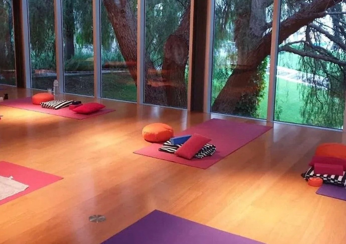 Image 29-01-2024 at 00.19.jpg