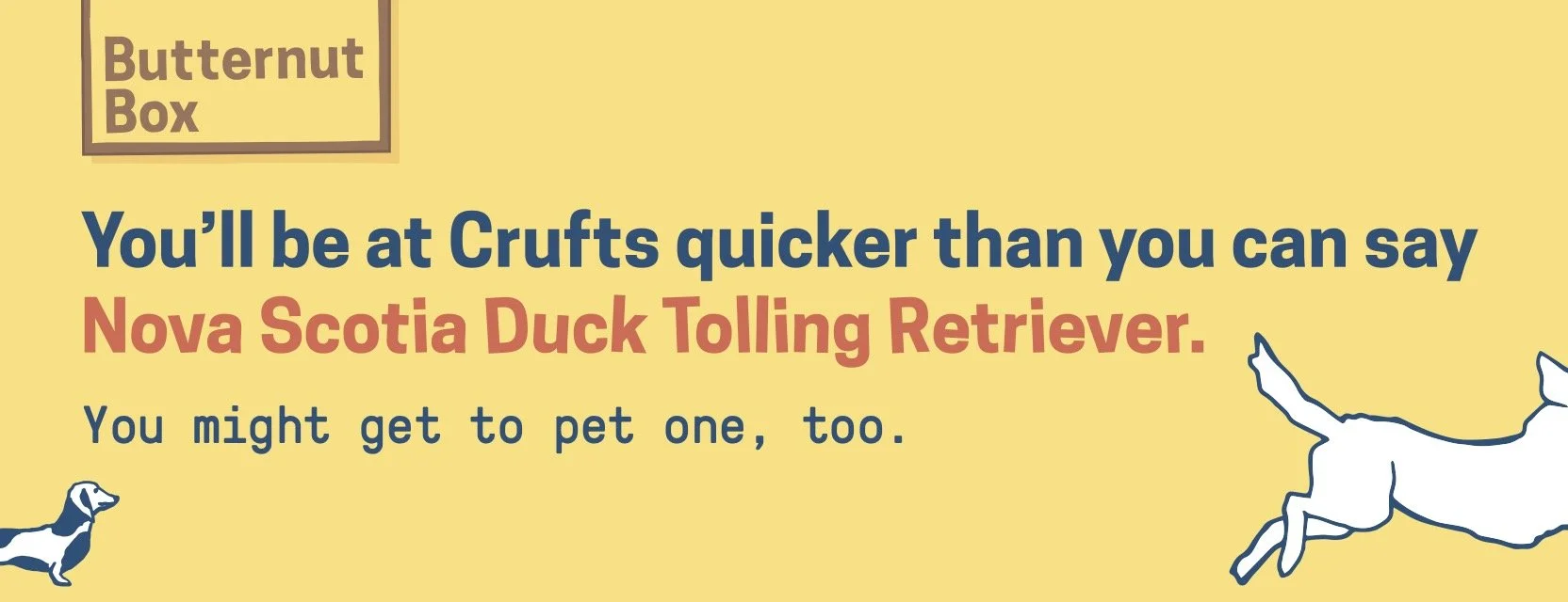 Crufts_Iconic Bridelink Screen_YYMMDD.jpg