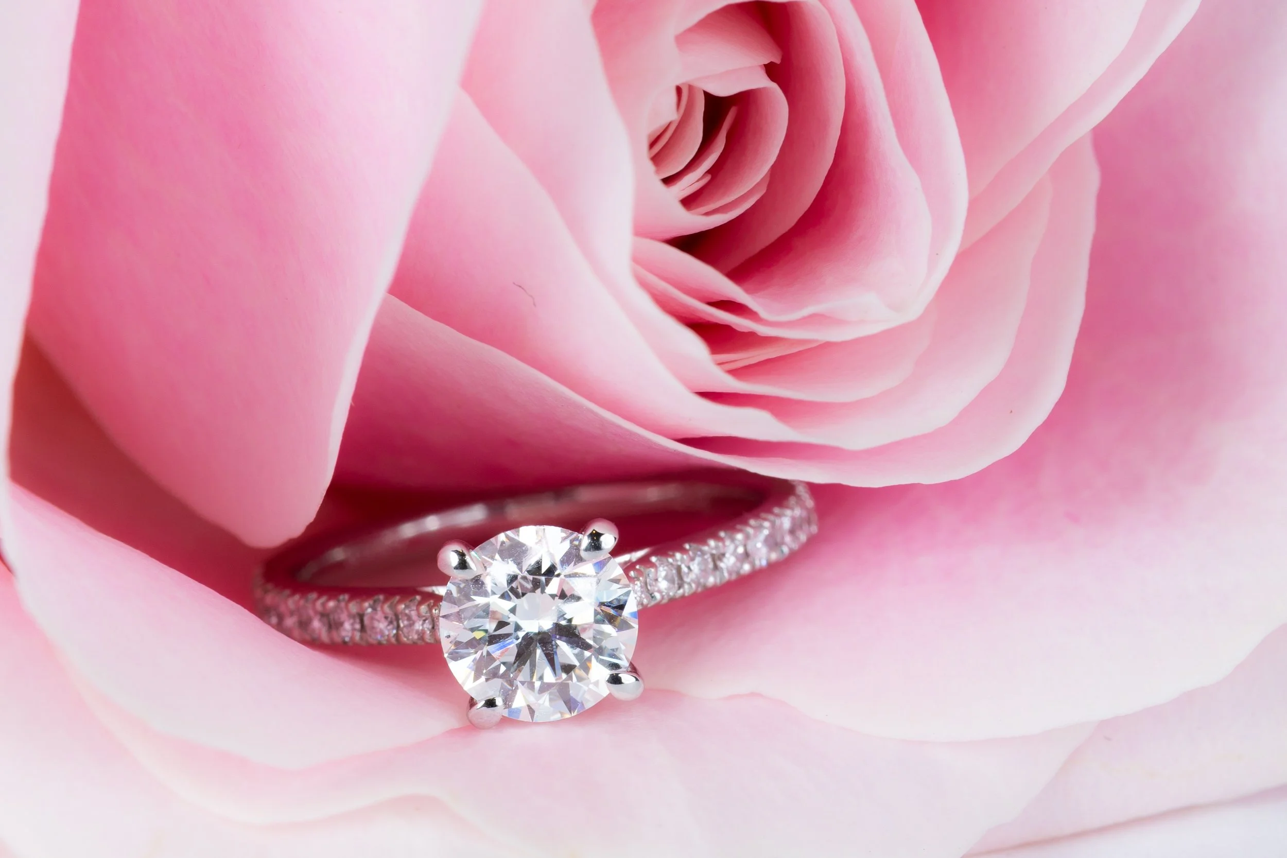 Een paar verlovingsringen, met een grote centrale diamant en een band met kleine diamanten, liggen in een roze roos.