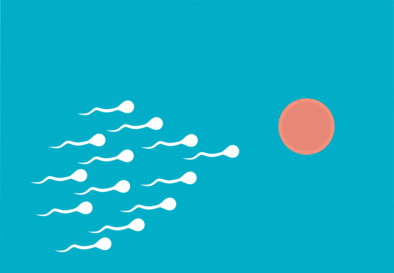 fertilization-6918867_1280.png