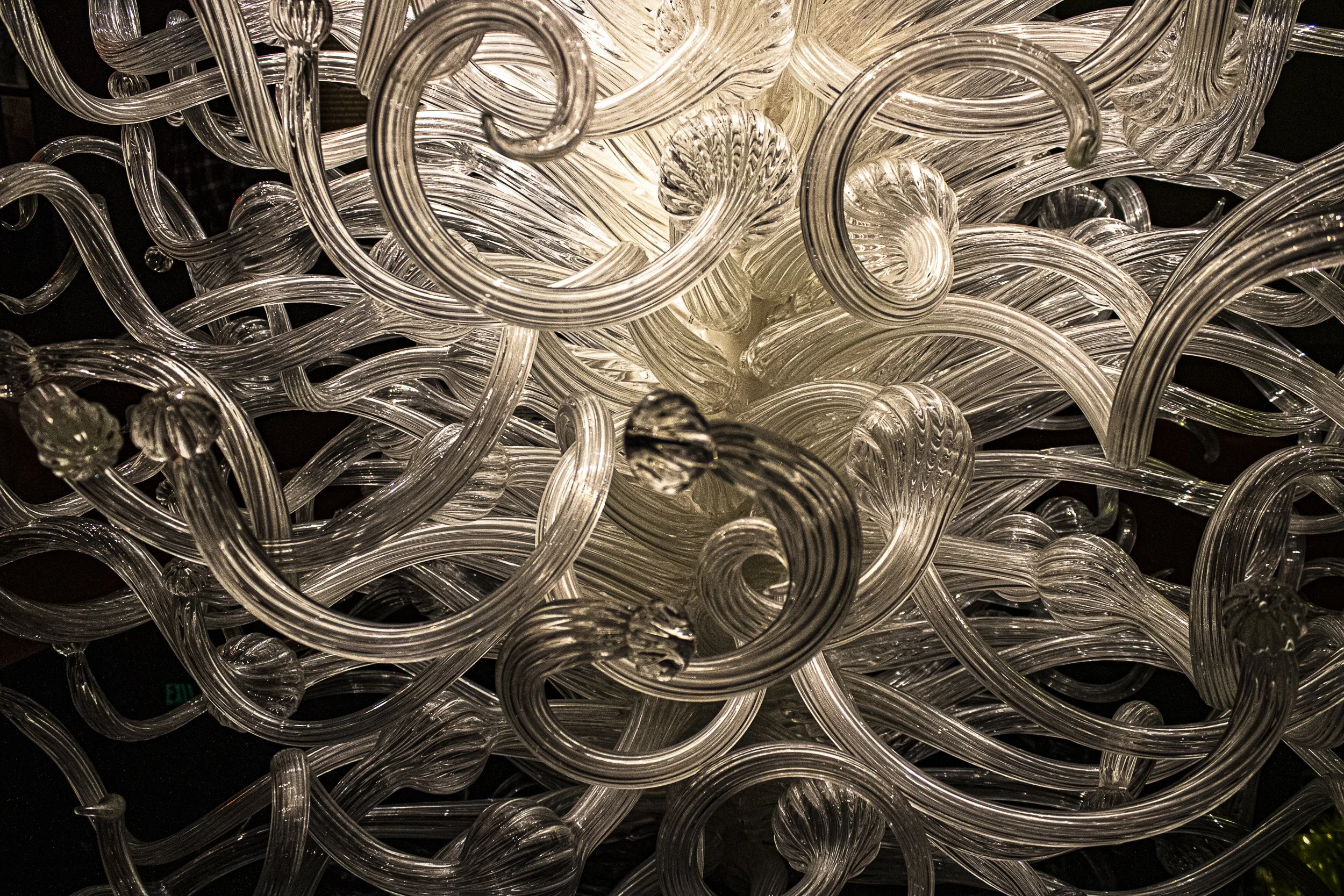 Chihuly; this photo was published in Forum Magazine in 2022. 