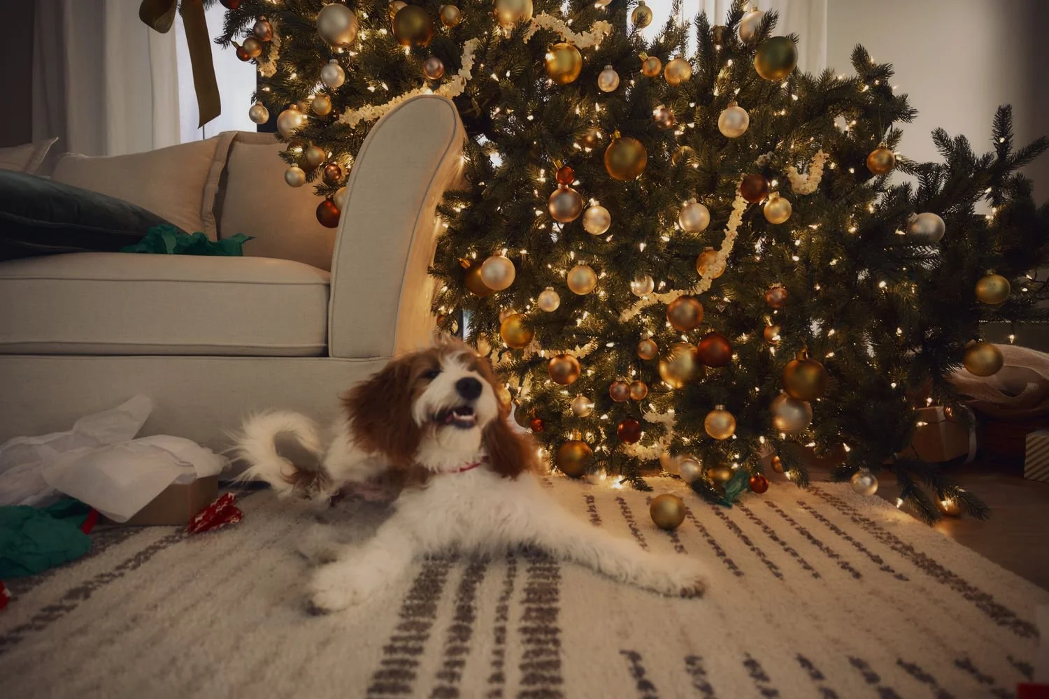 130134_PS_24CS_017_1.tif_preview.jpg