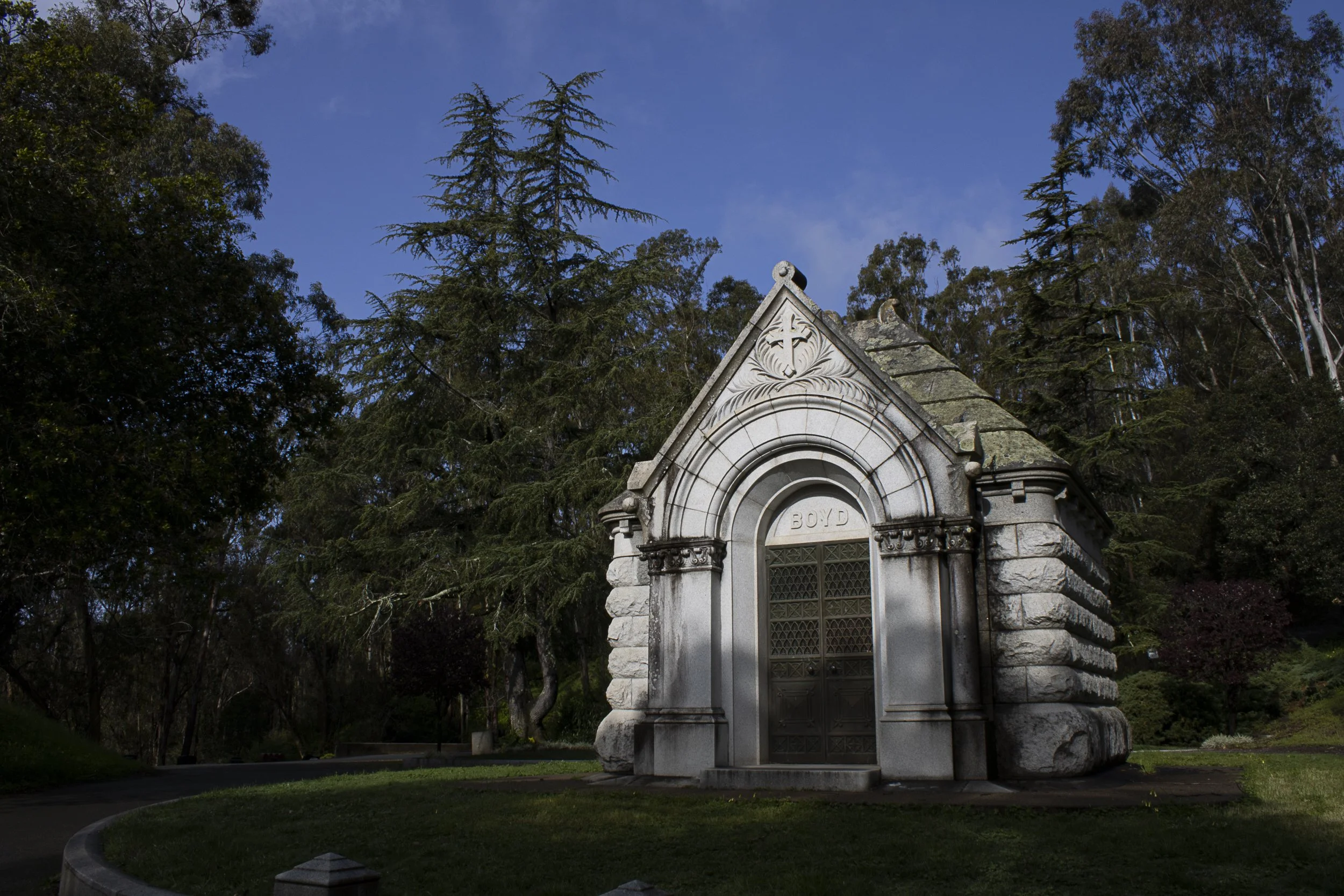 Shadows in the Morning. 