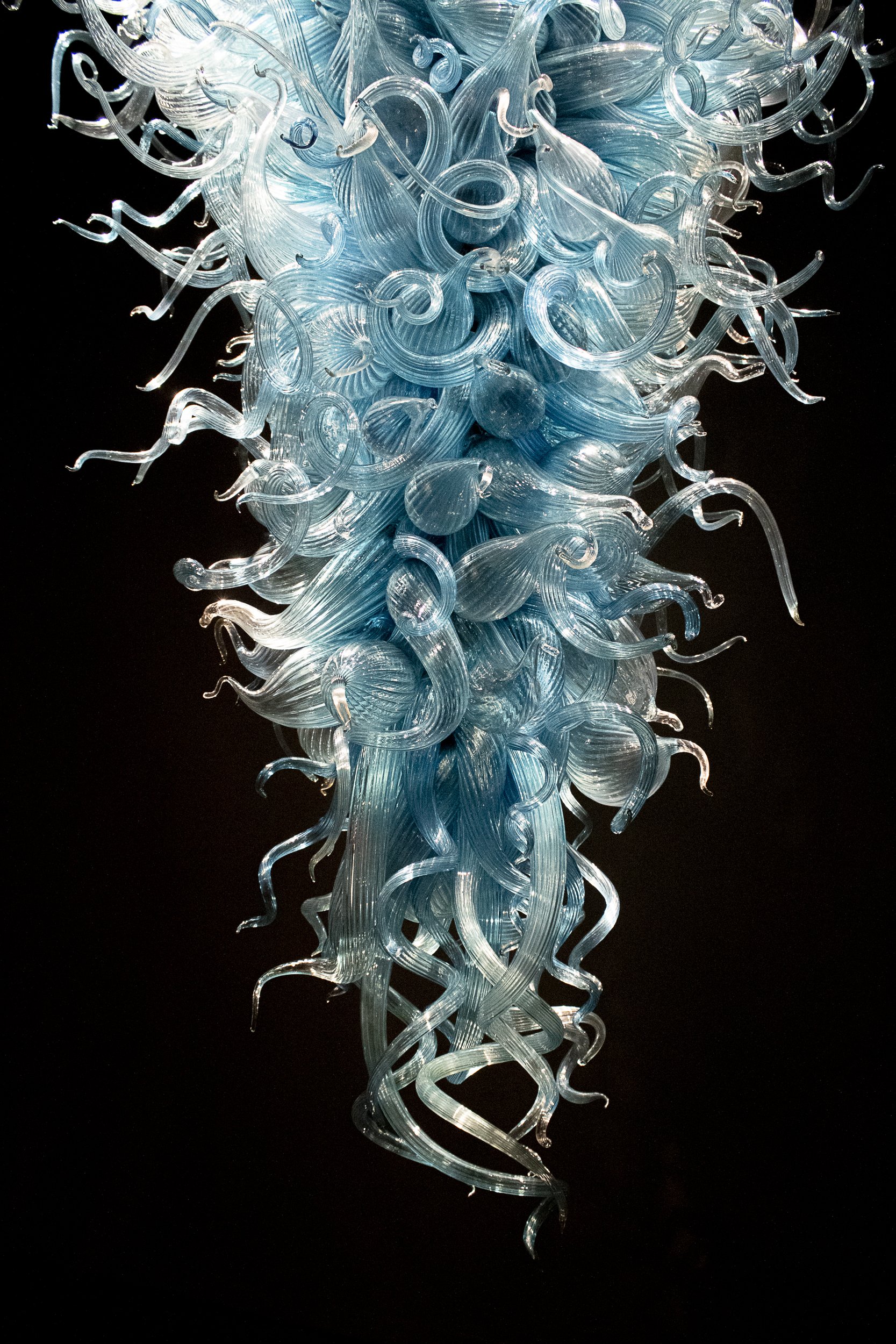 Seattle Chihuly Exhibit Part 1.