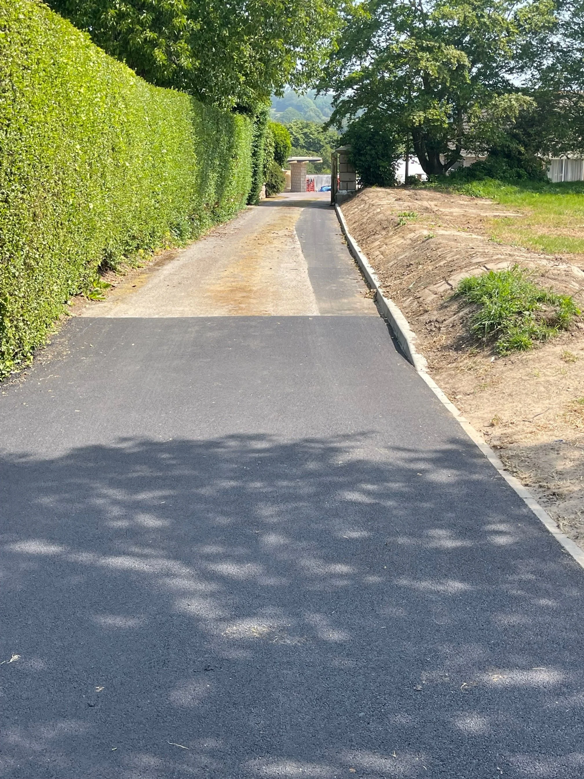 A paved driveway with a hedge on the left side and a dirt and grassy area on the right side, leading to a gate and a backyard with trees.