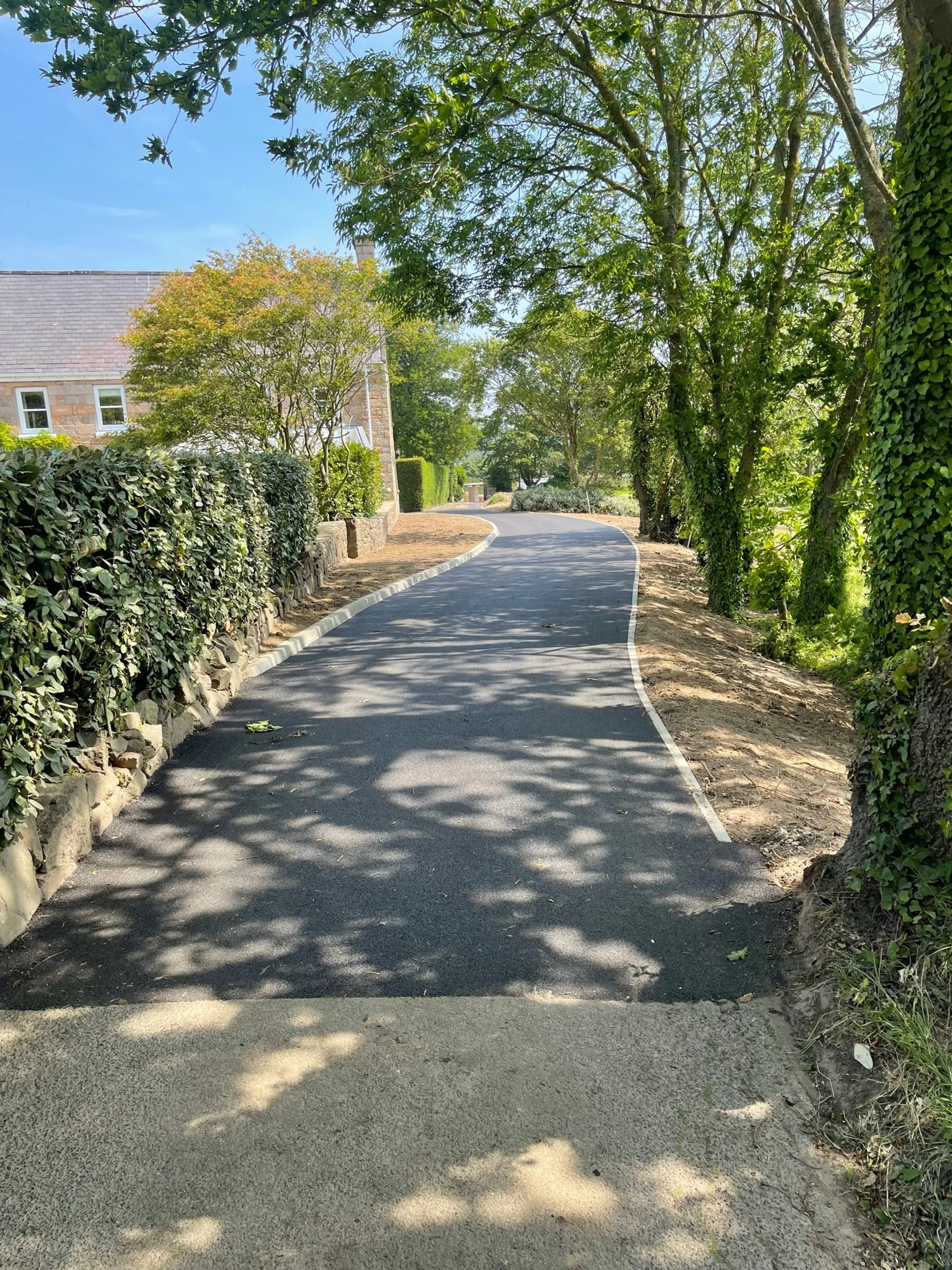 A paved road curves through a lush green neighborhood on a sunny day, lined with trees, bushes, and houses.