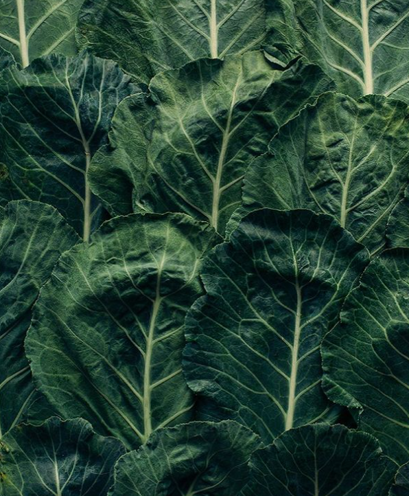 EL PODER DE LOS JUGOS VERDES