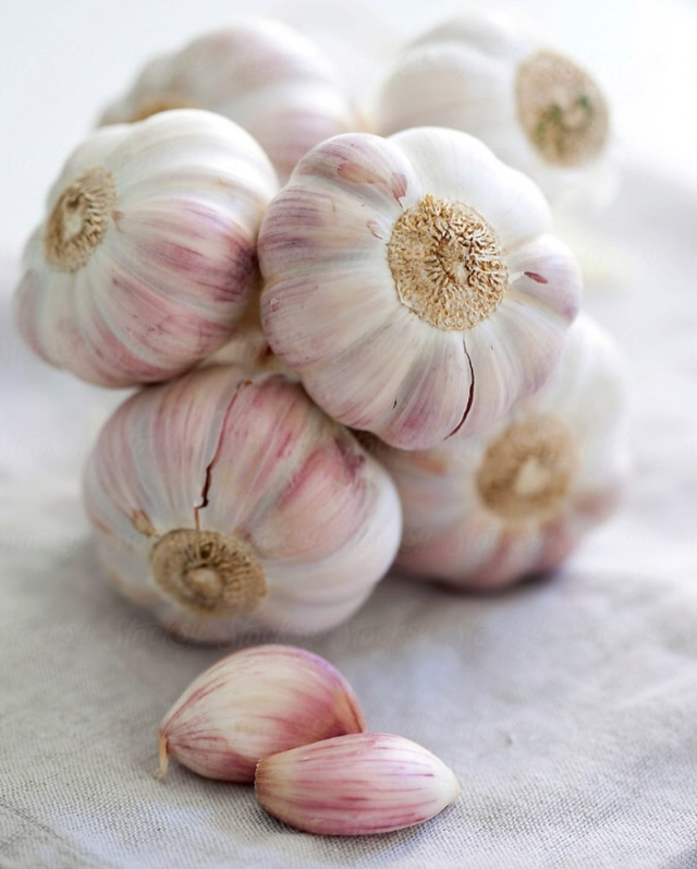 BENEFICIOS DEL AJO