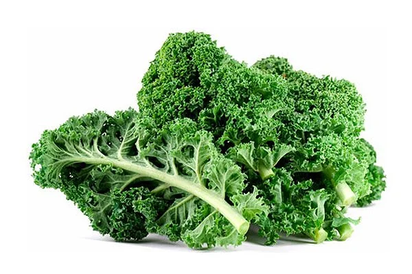 BENEFICIOS DEL KALE