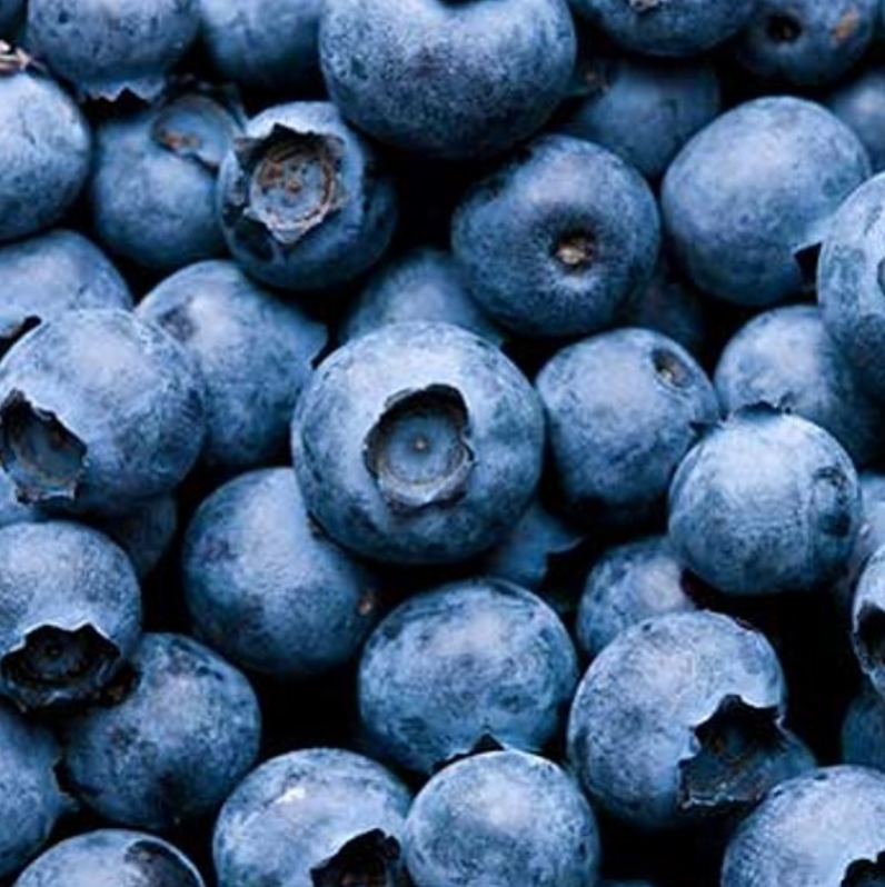 BENEFICIOS DE LOS ARANDANOS AZULES