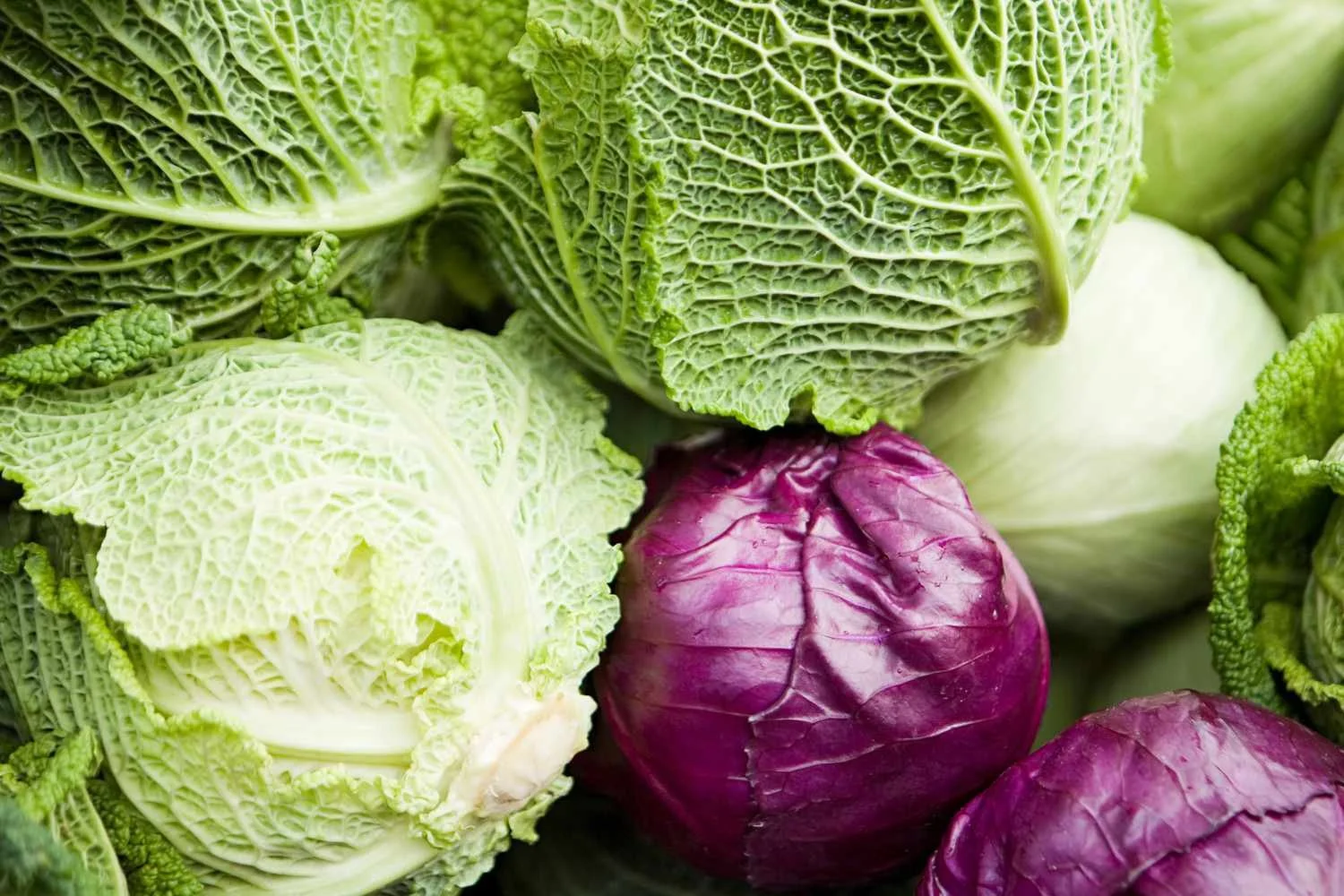 BENEFICIOS DEL REPOLLO
