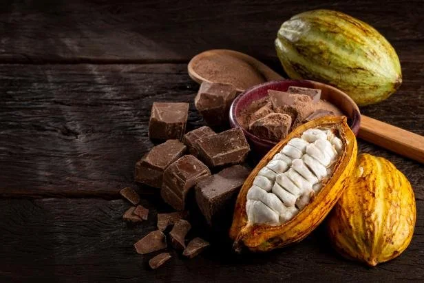 BENEFICIOS DEL CACAO