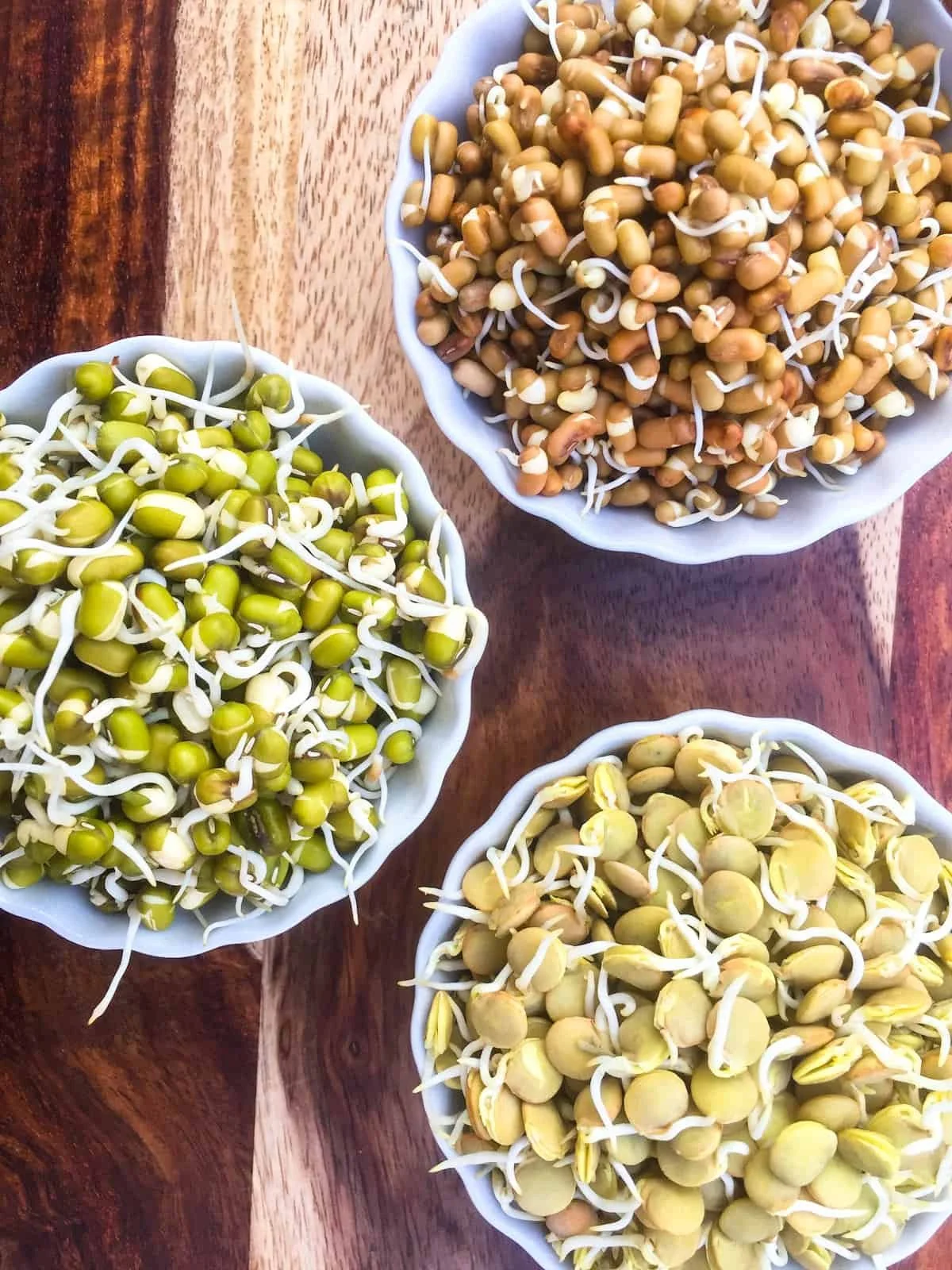 BENEFICIOS DE LOS BROTES
