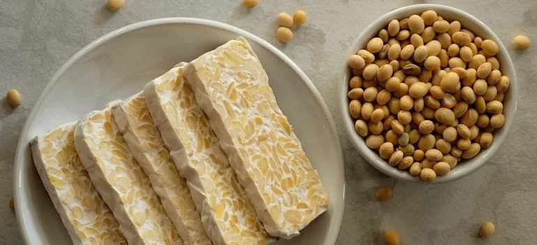 BENEFICIOS DEL TEMPEH