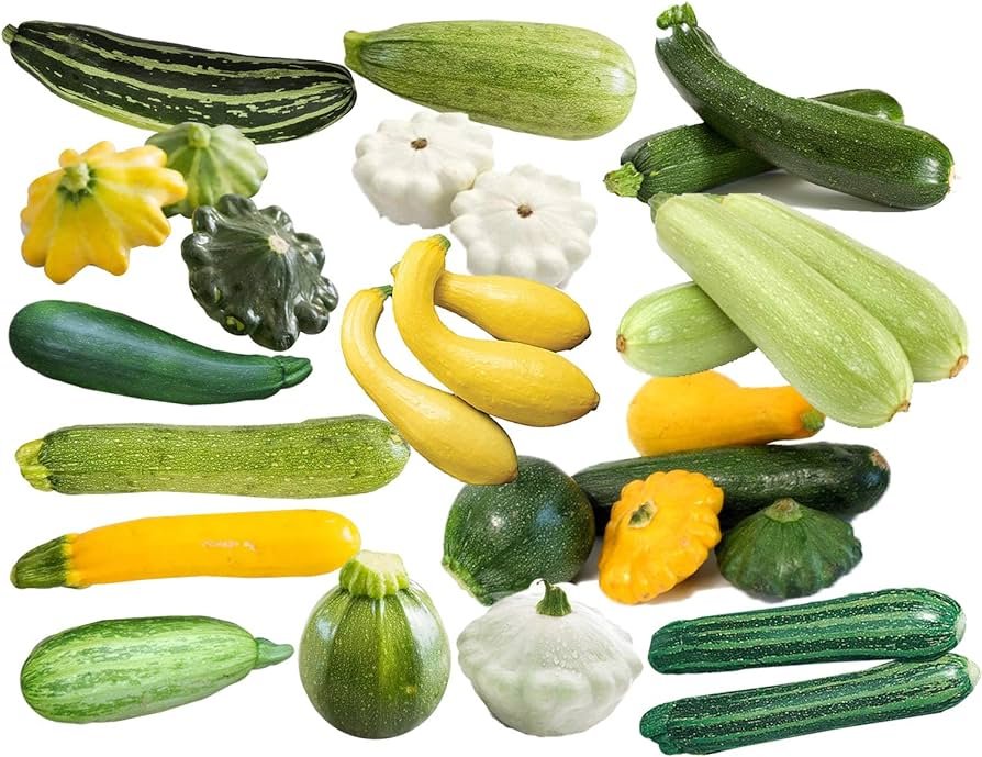 BENEFICIOS DEL ZUCCHINI