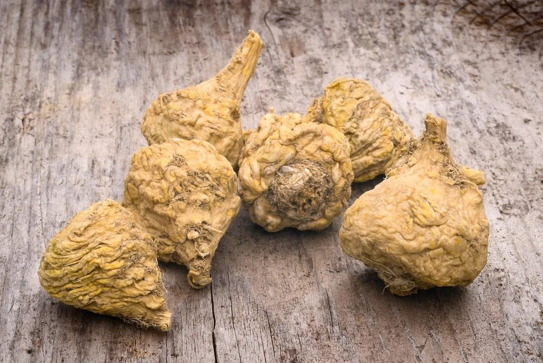 BENEFICIOS DE LA MACA