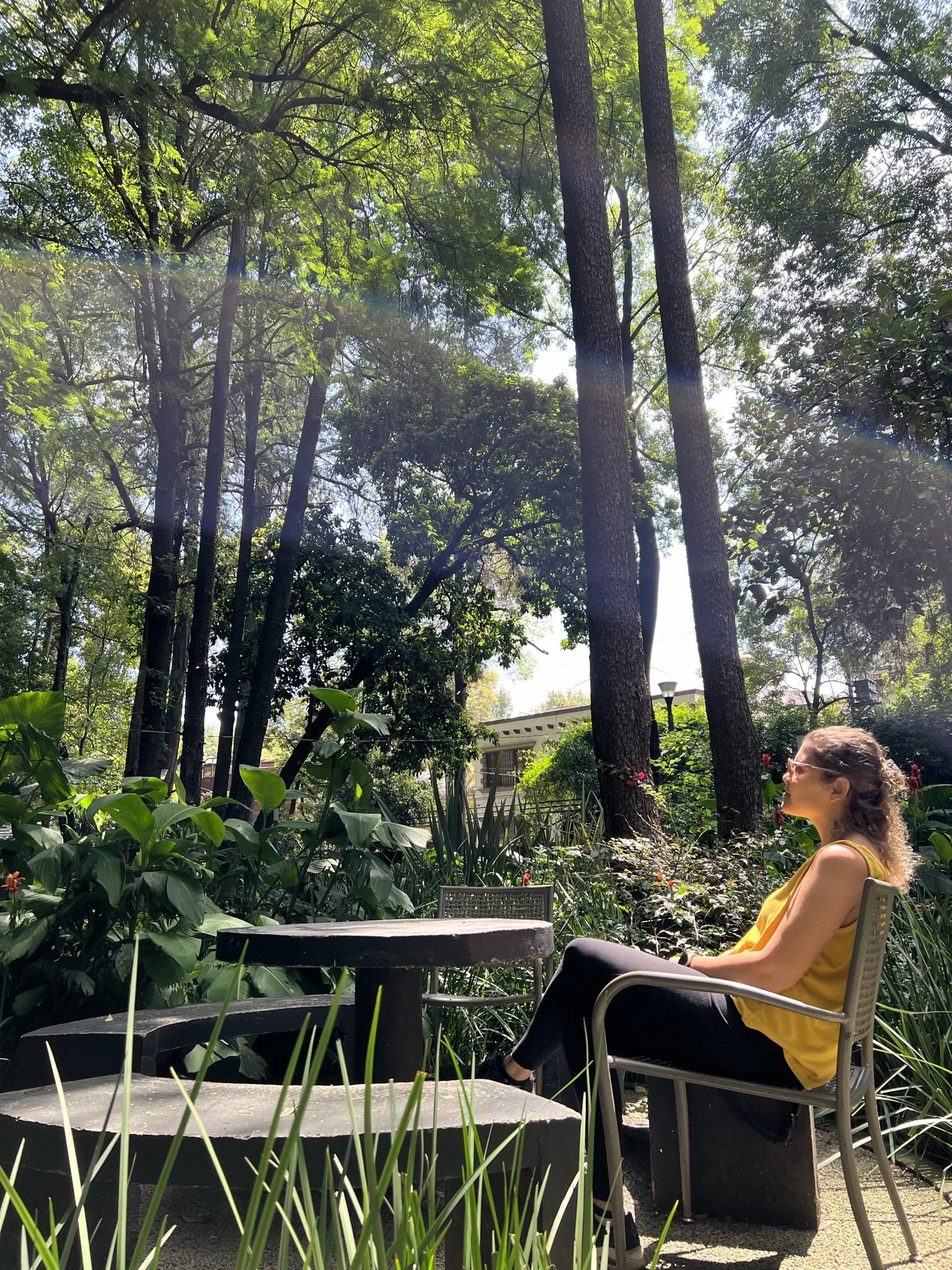A person sitting on a chair in a garden, next to a circular stone table, surrounded by trees and plants on a sunny day.