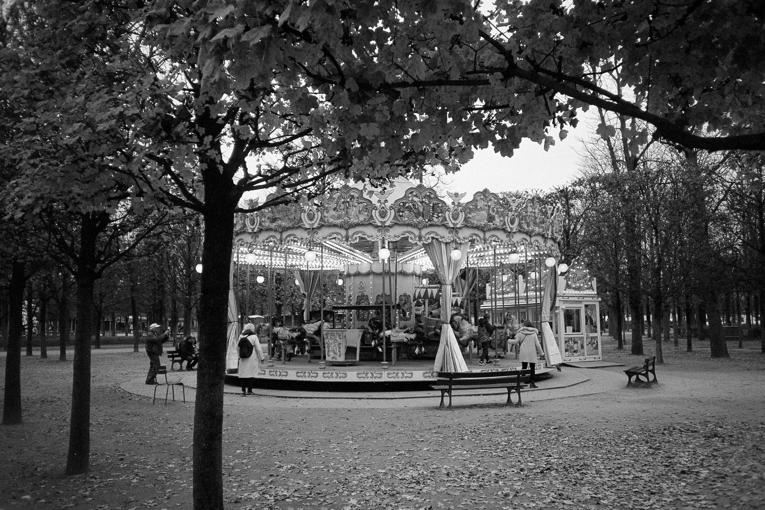 img20241108A_32 v1.jpg