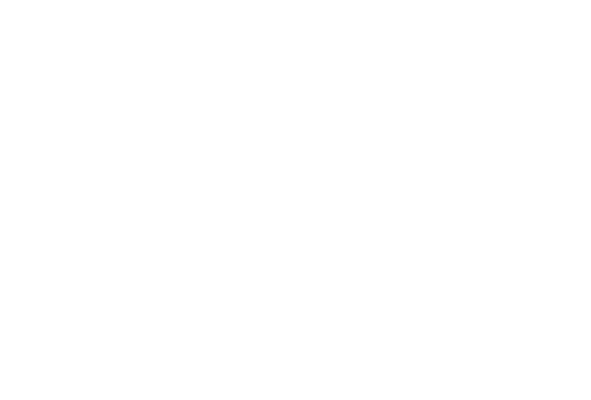 Wild Heart Outdoors
