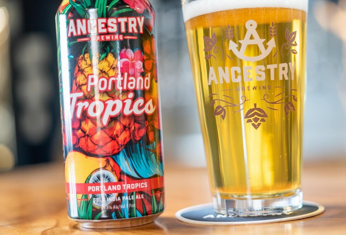 New beer on tap!!! Come try our Cold IPA, Portland Tropics! Cold lagered, refreshing with tropical hop characteristics.  #pdx #pdxcraftbeer #portlandcraftbeer #pdxfoodies #pdxfoodie #portlandfoodie  #oregoncraftbeer #oregonbeer #oregon #spring  #ance