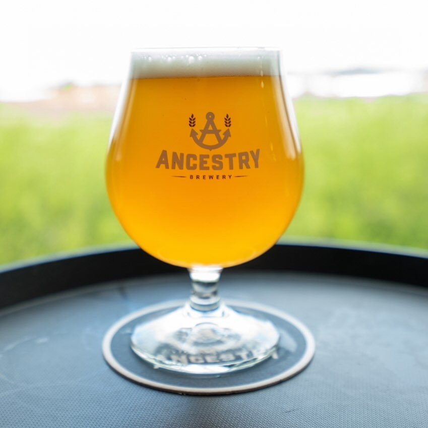 Belgian Tripel is back on tap!!! Thick mouthfeel with clove and banana notes with very low hop aroma. 🍻