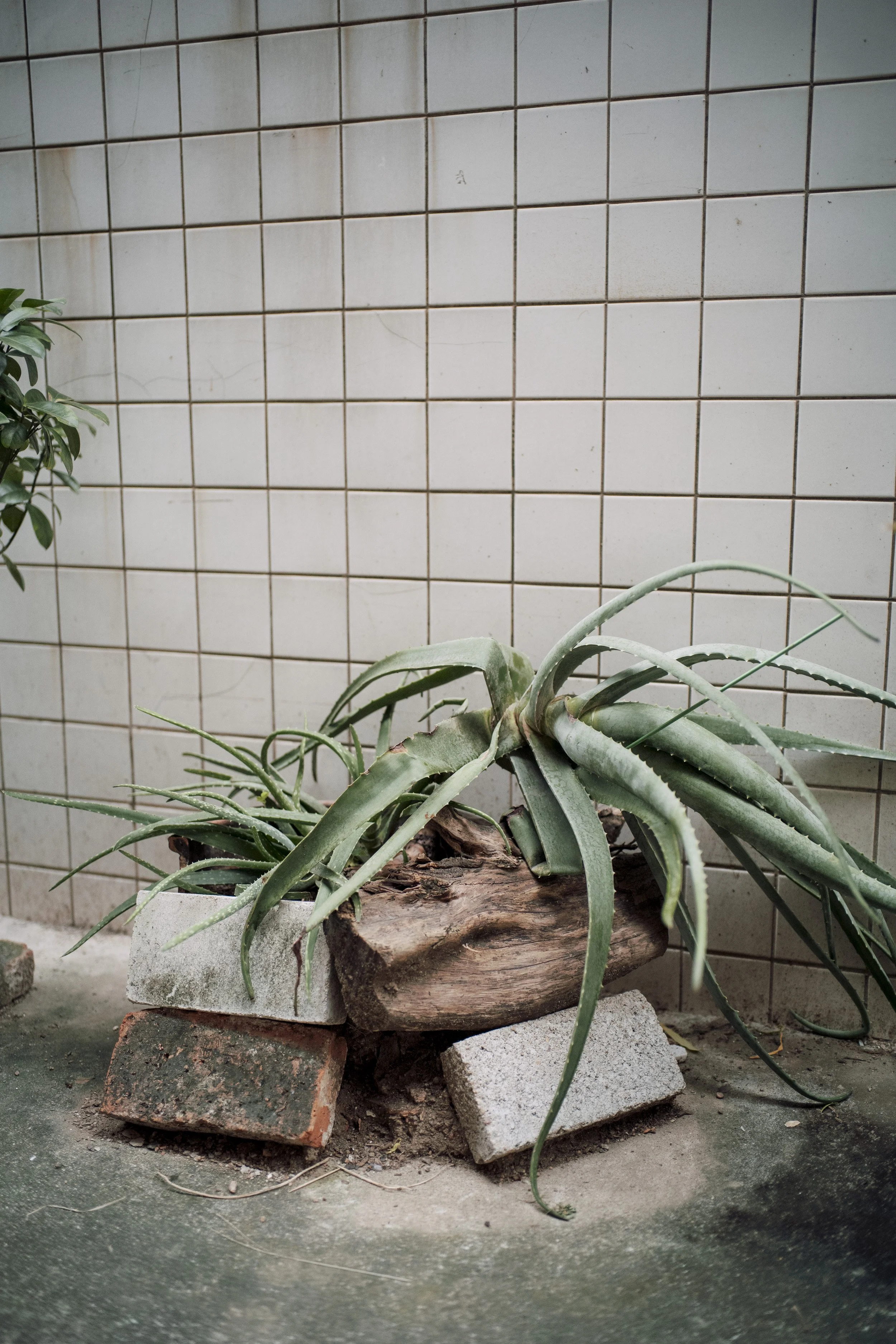 L2100209.jpg