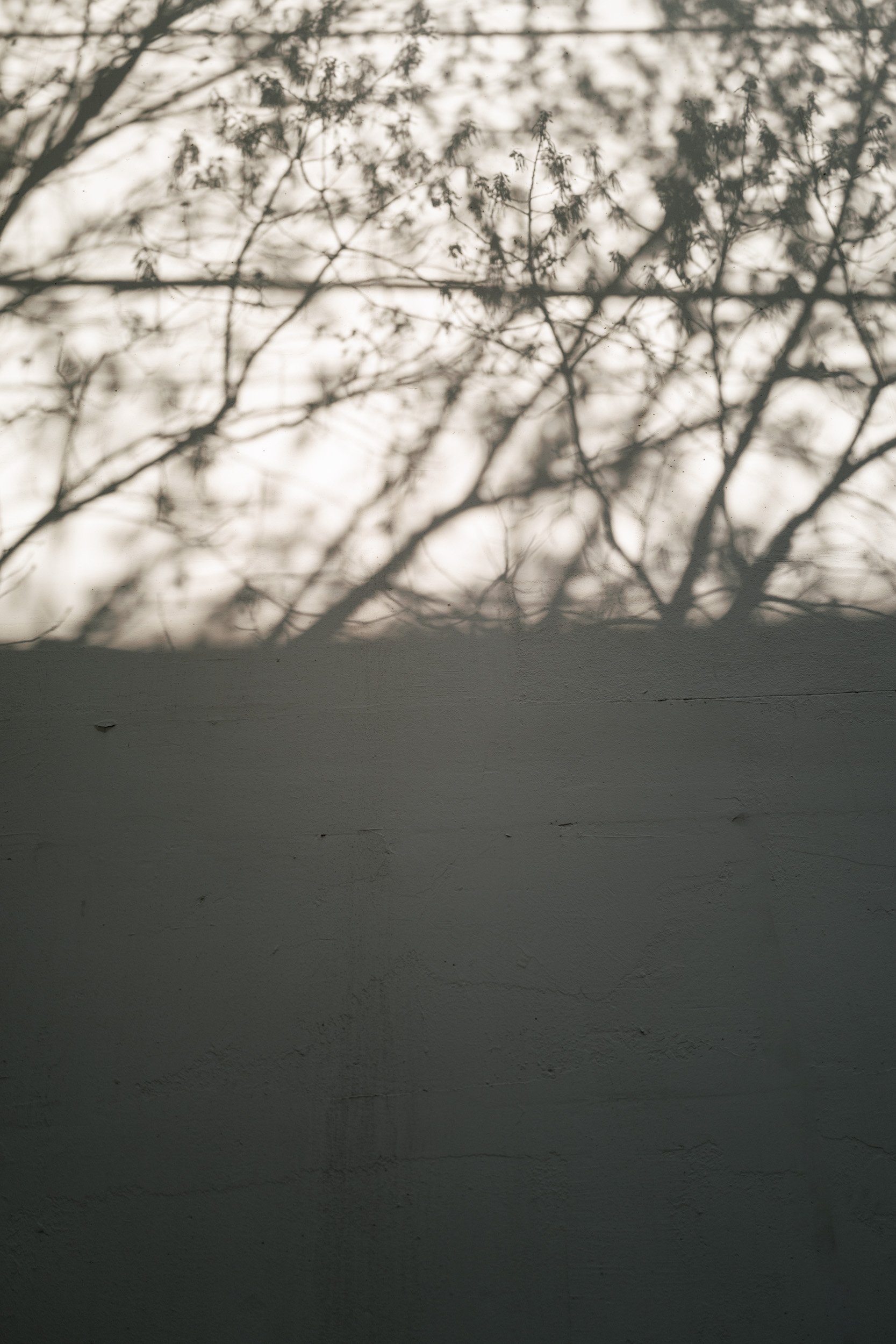 L1050181.jpg