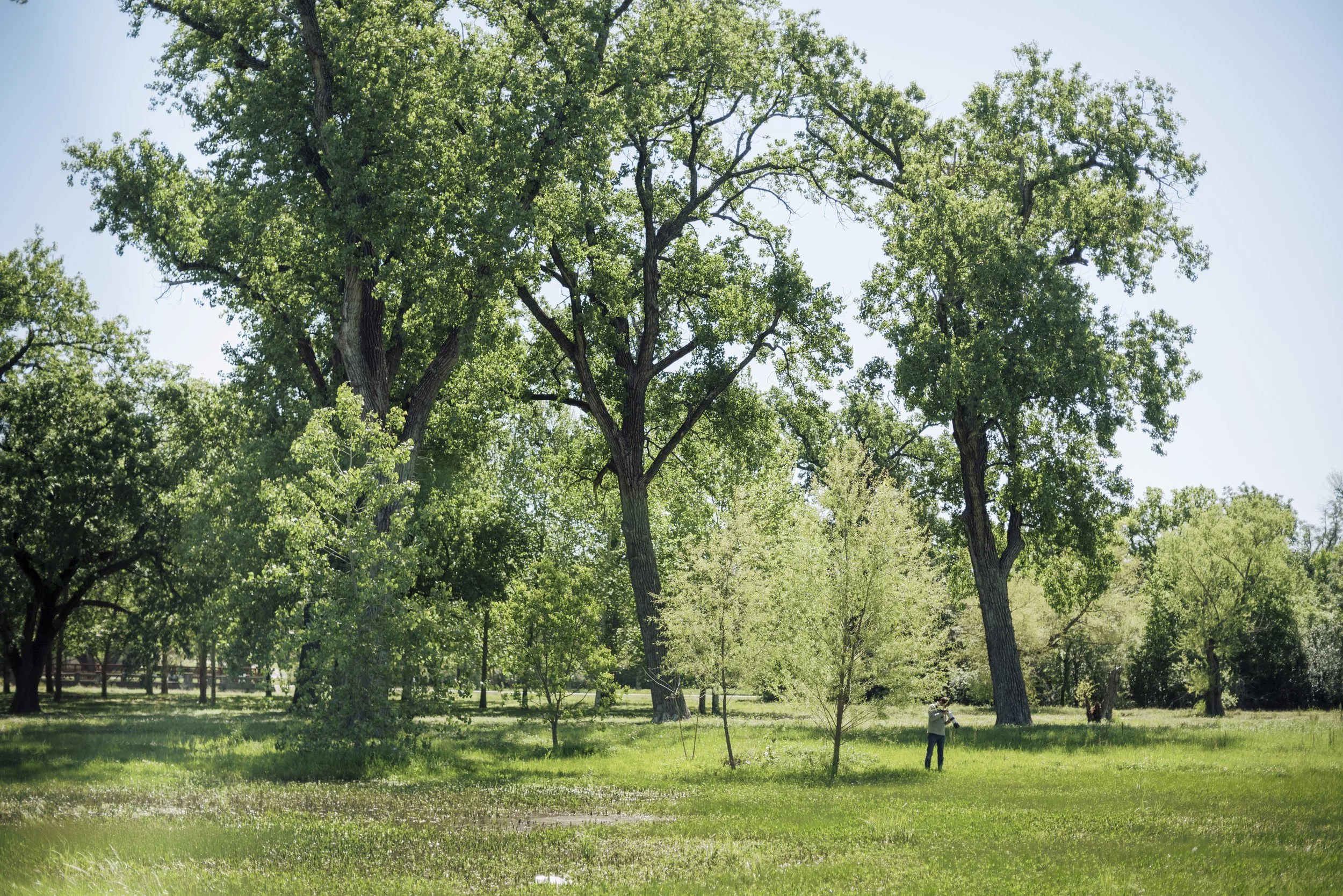 L2230841.jpg