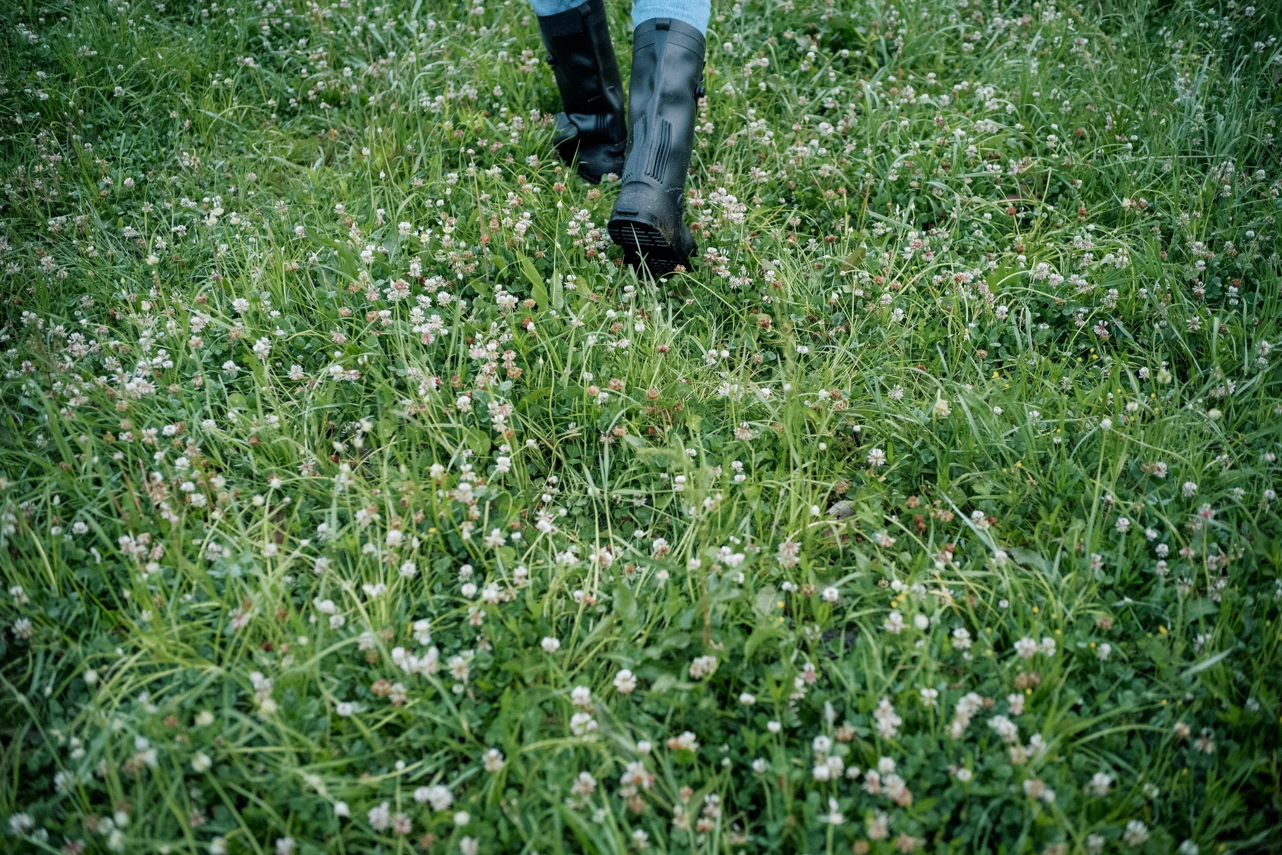 L1000388.jpg