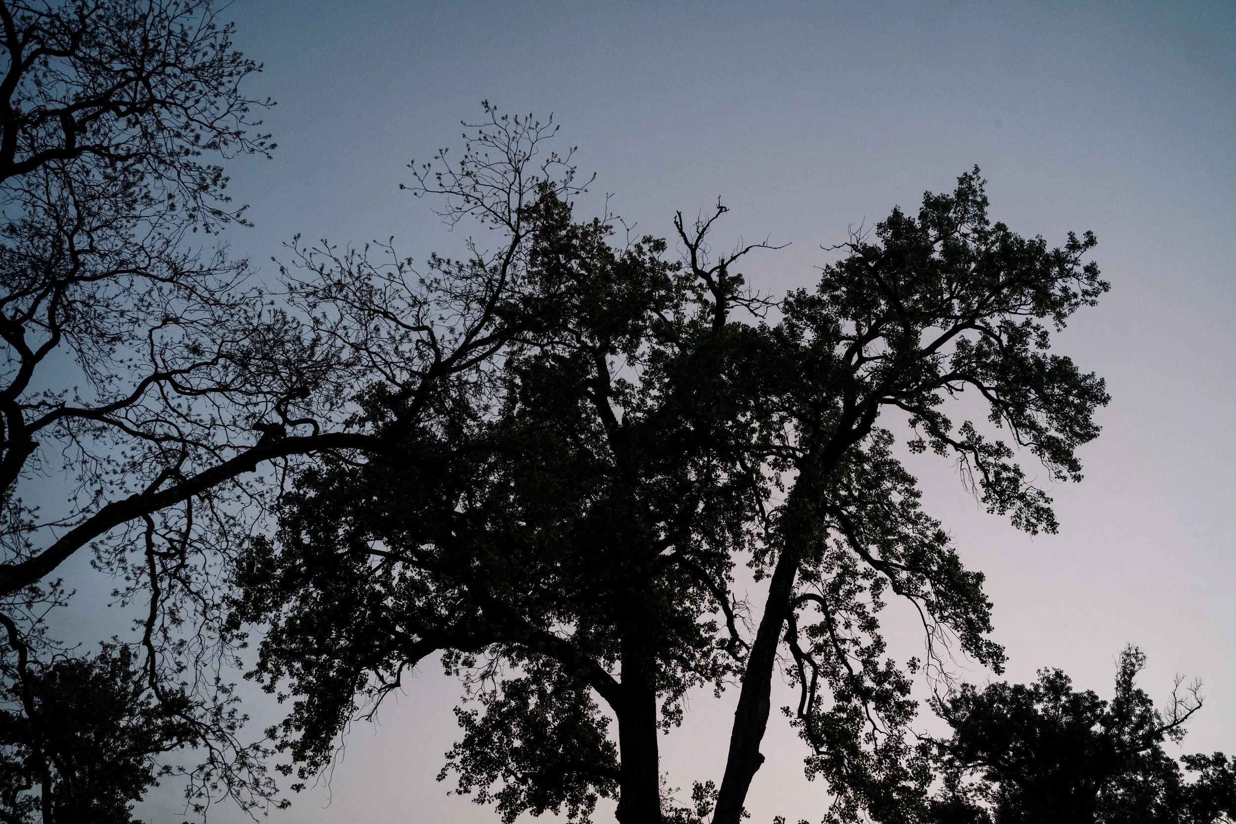 L1000271.jpg