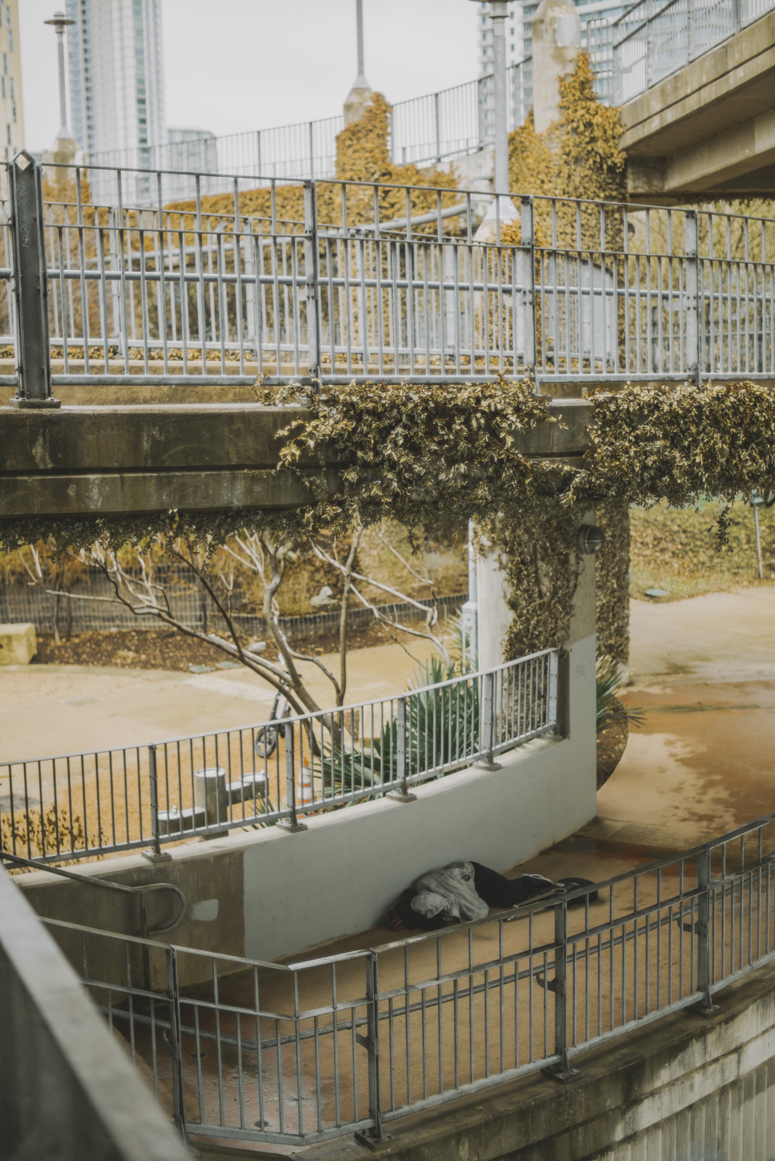 L1000405.jpg