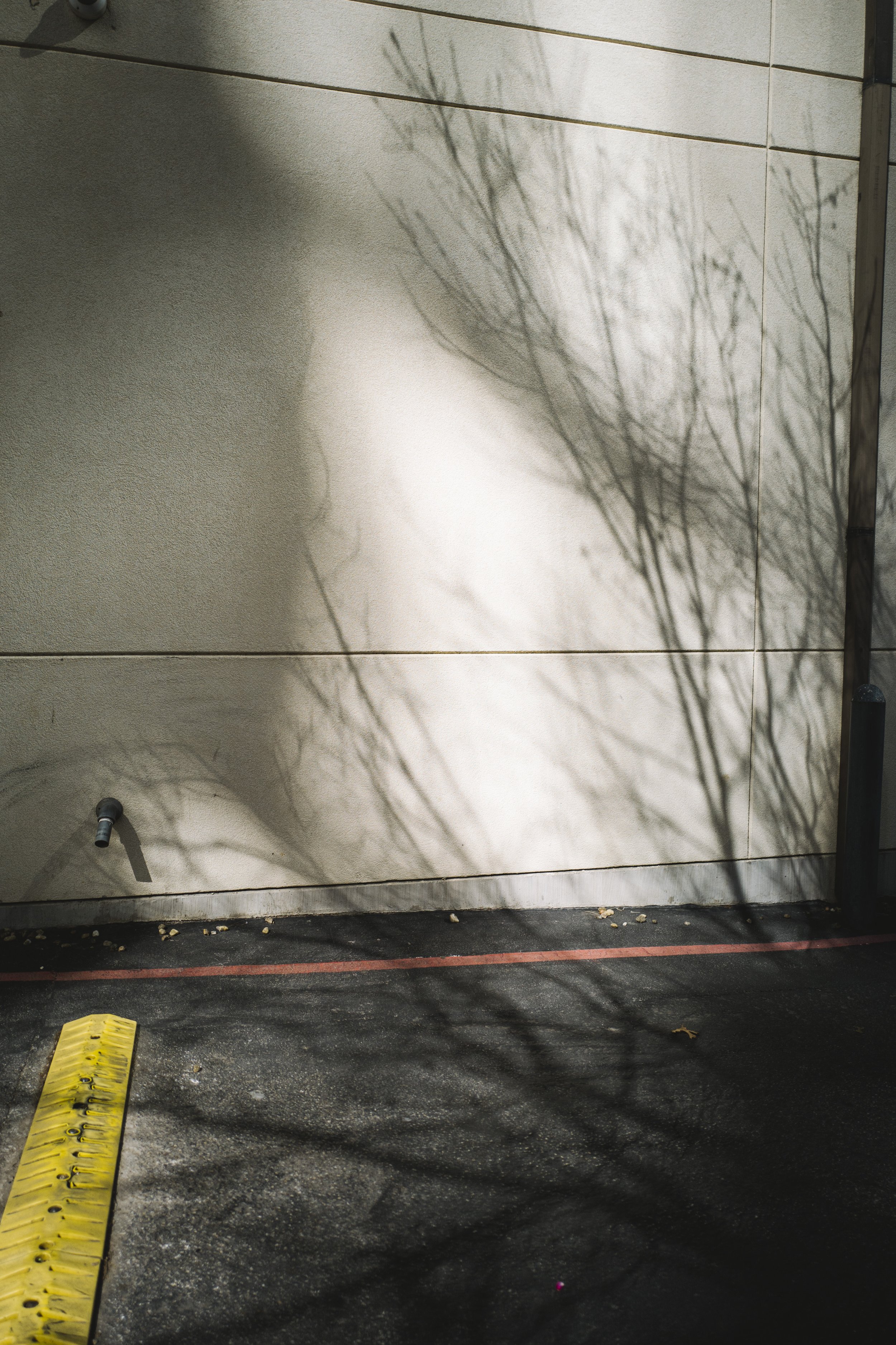 L1030596.jpg