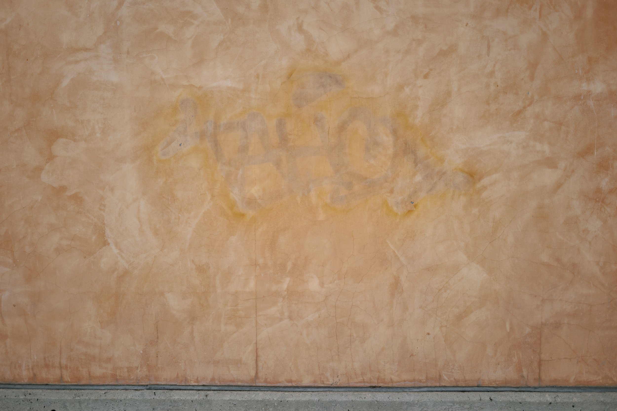 L1000873.jpg