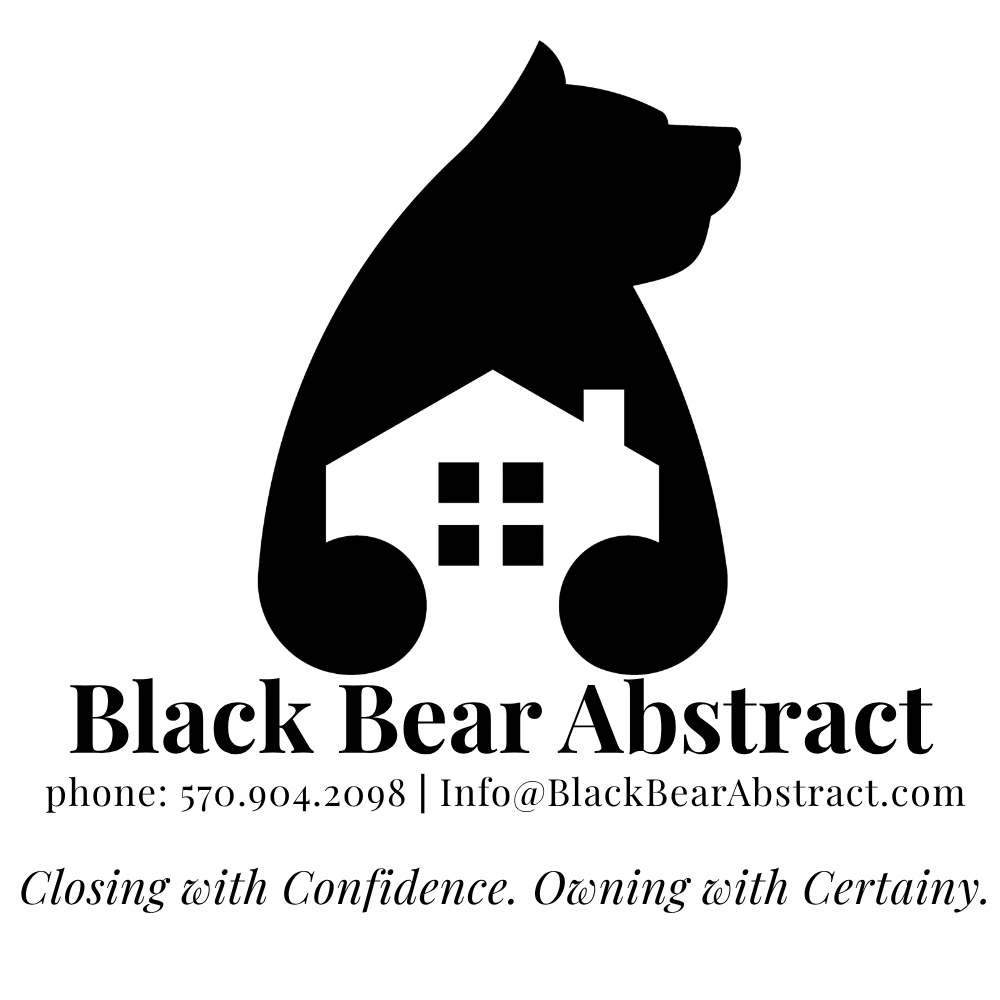 BLACK BEAR ABSTRACT
