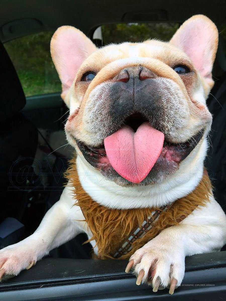 NATIONAL GEOGRAPHIC EXPLORER JSIRAKAS PHOTOGRAPHER tm (174).jpg