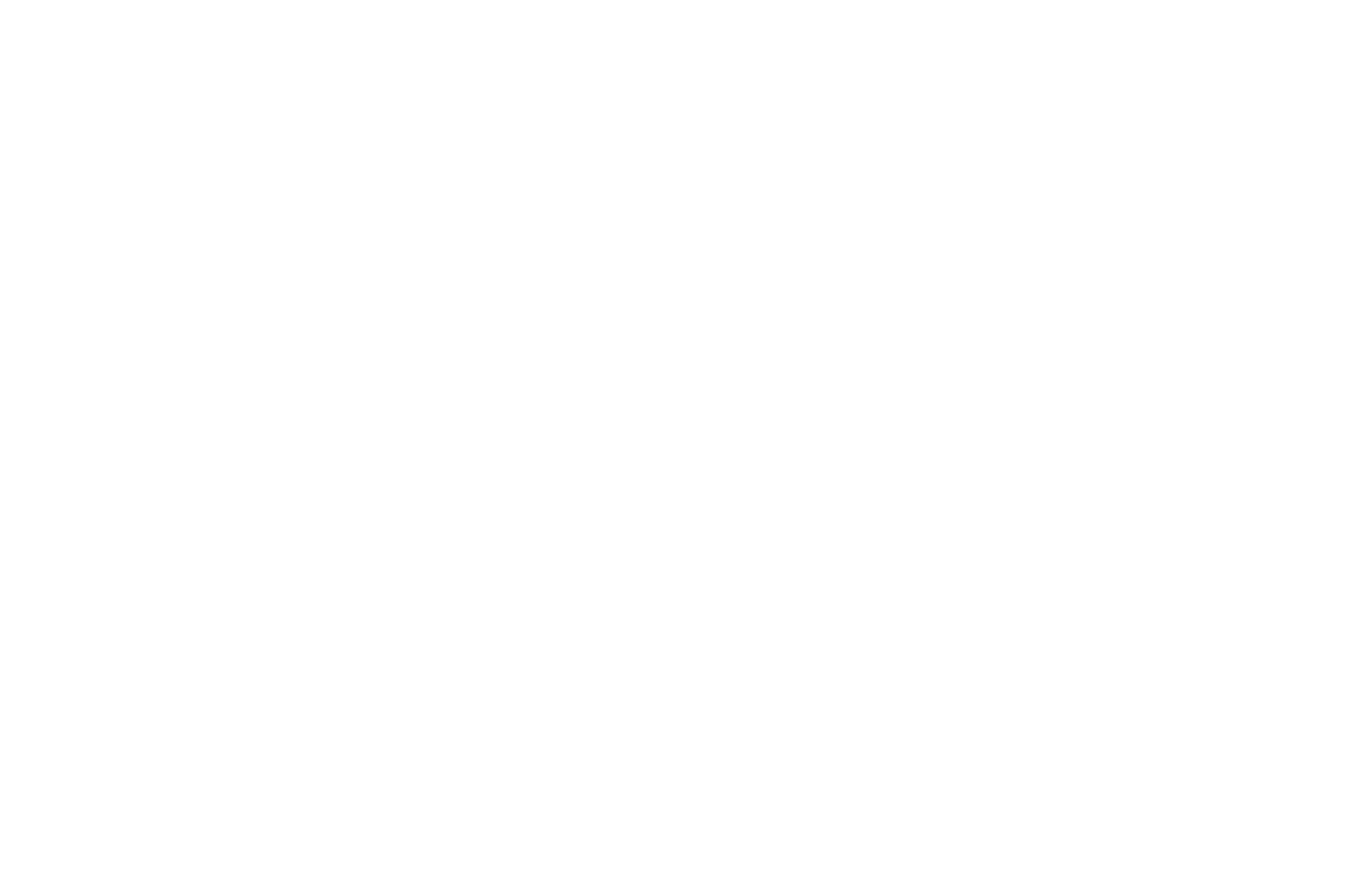 OFFICIAL SELECTION - Canberra Short Film Festival - 2024.png
