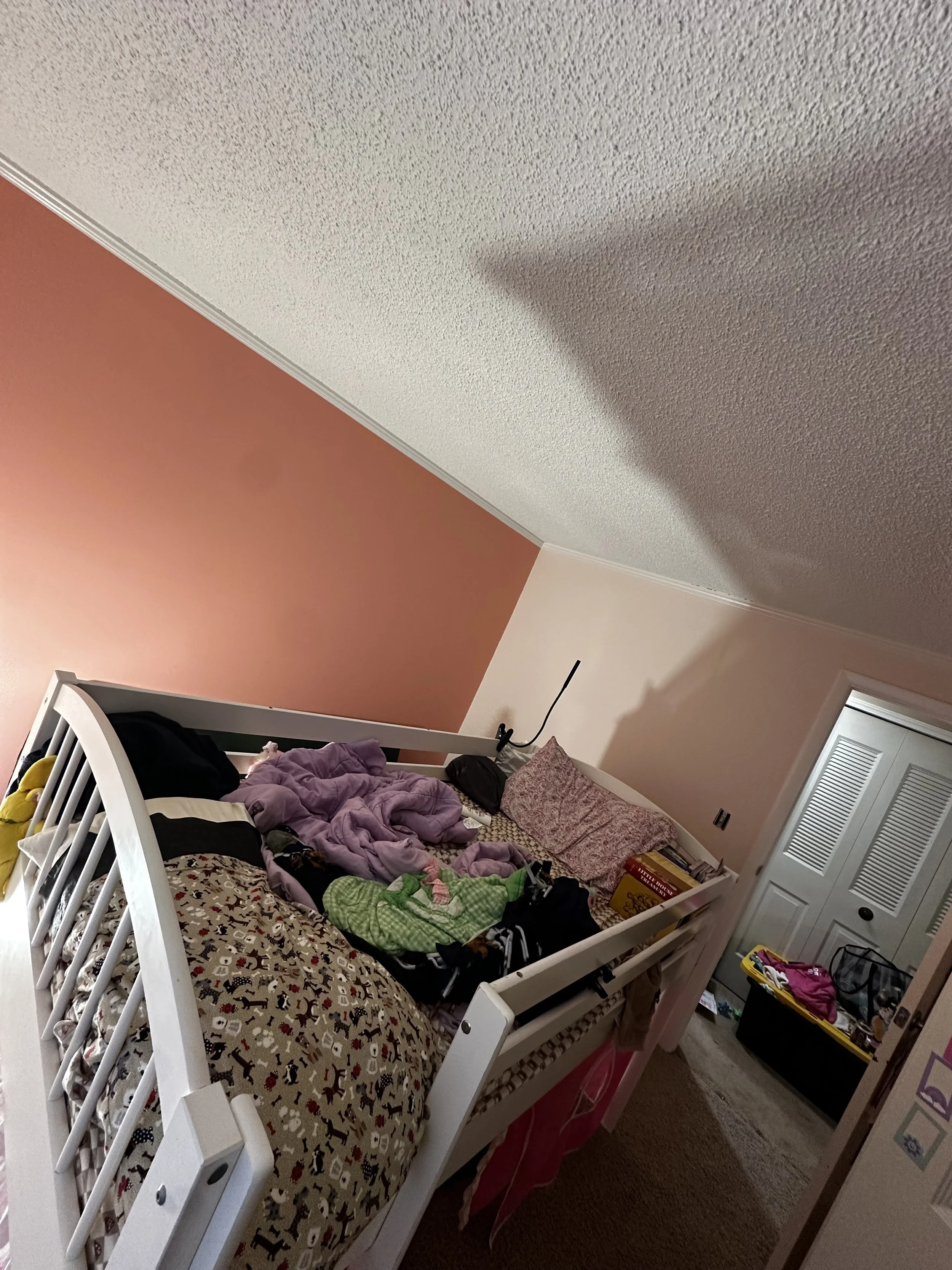 IMG_0490.jpeg