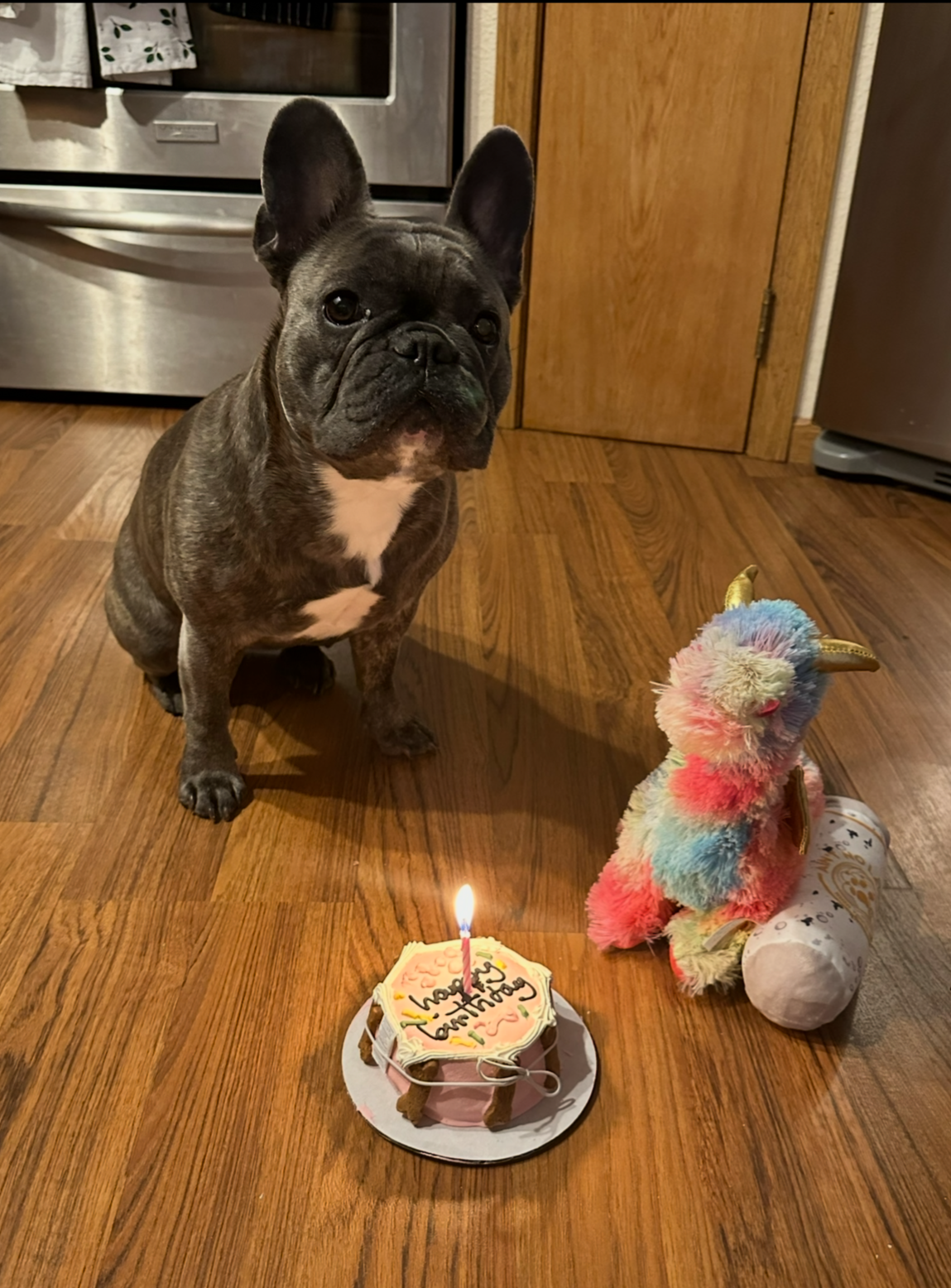 CHLOE 