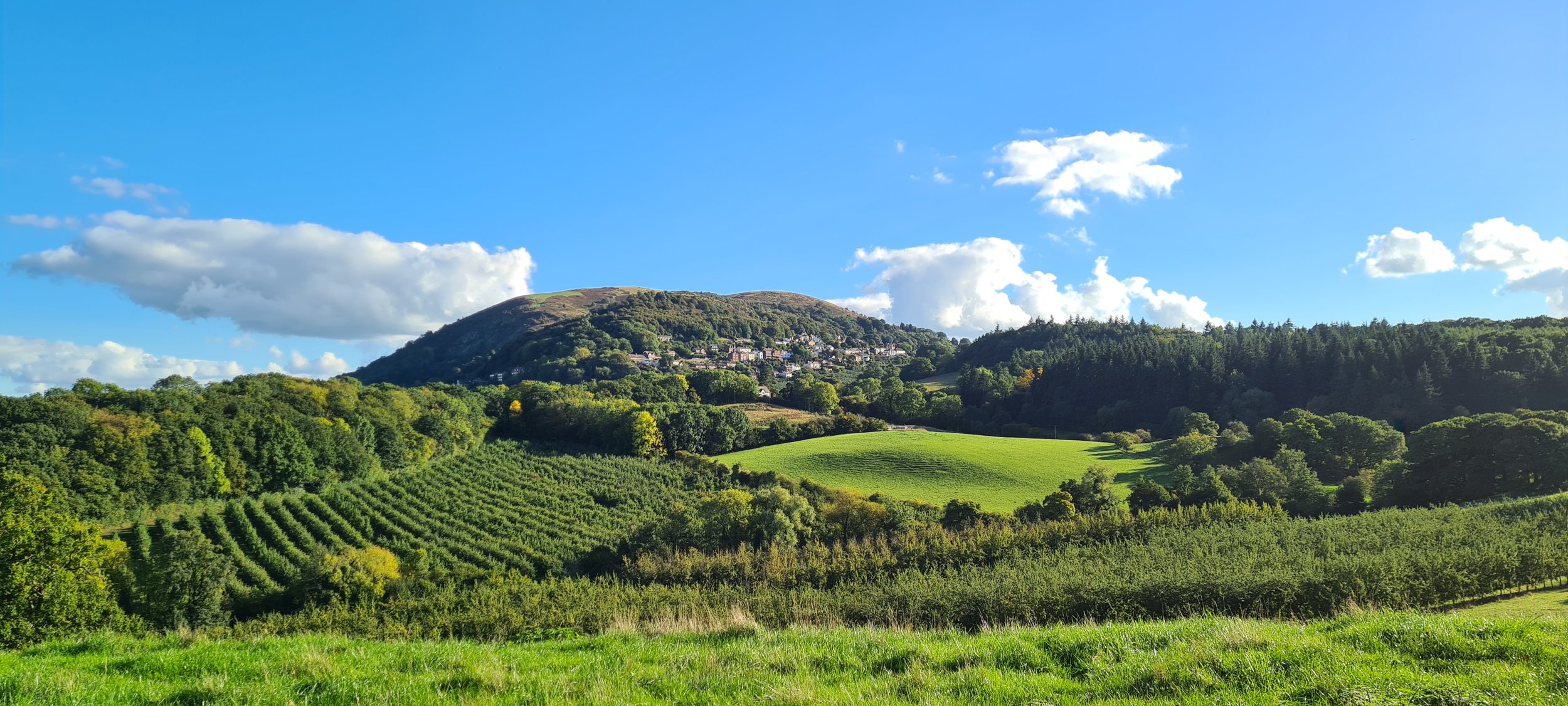 Navigating the shifting seasons