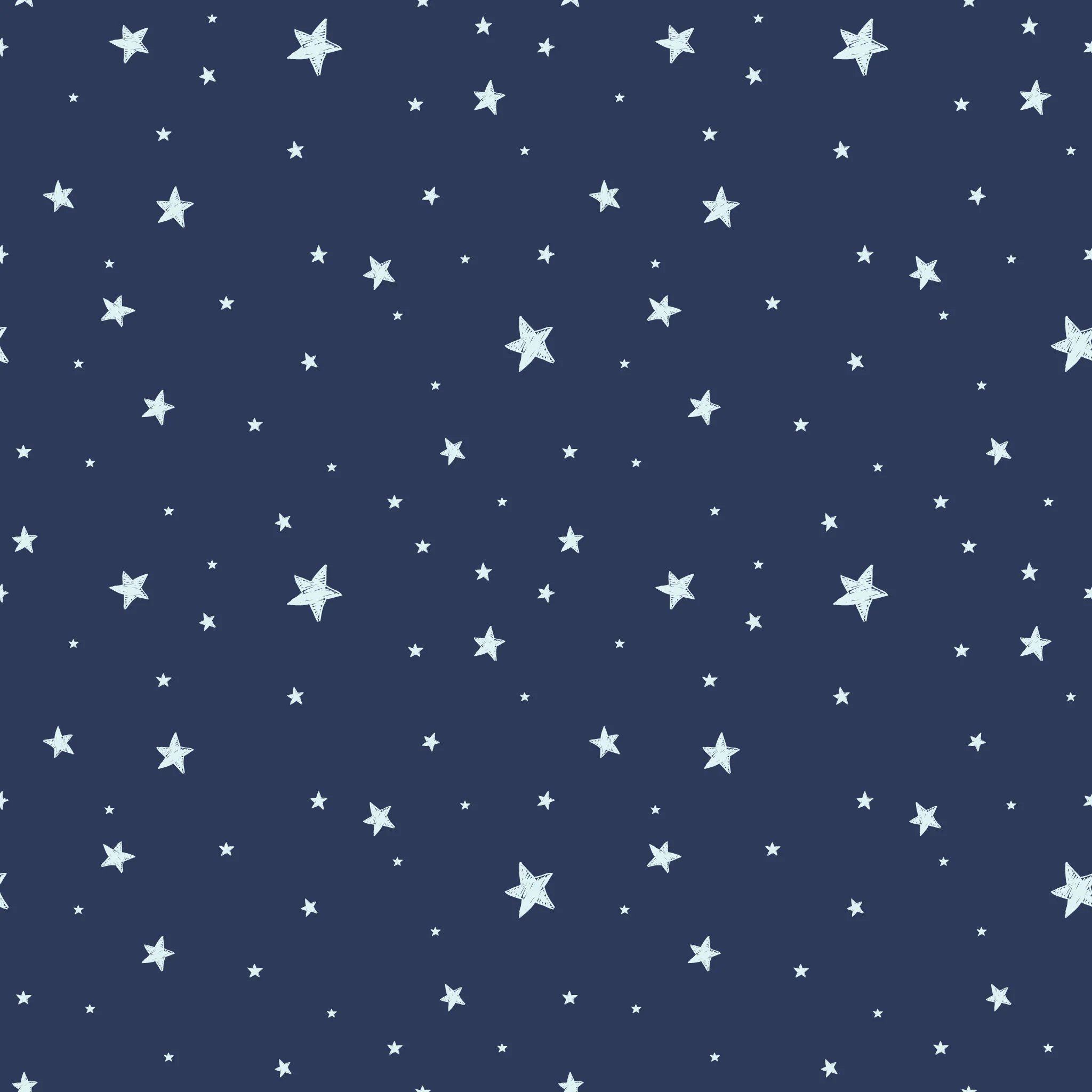 PL Starlight - 4 Week Wait