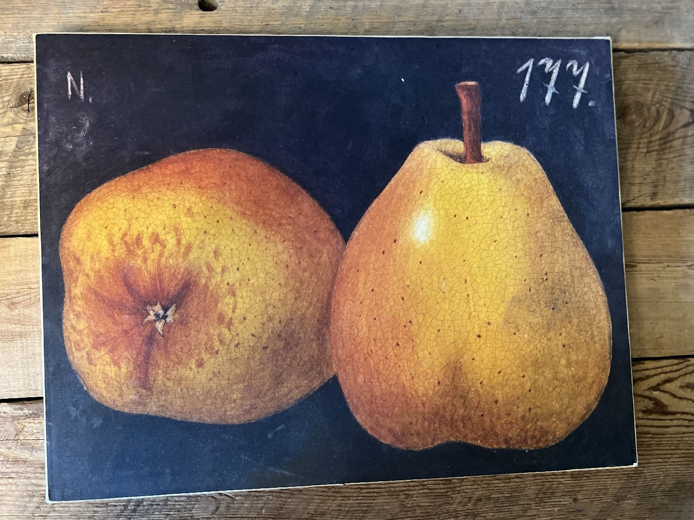 julypear177picture.jpg