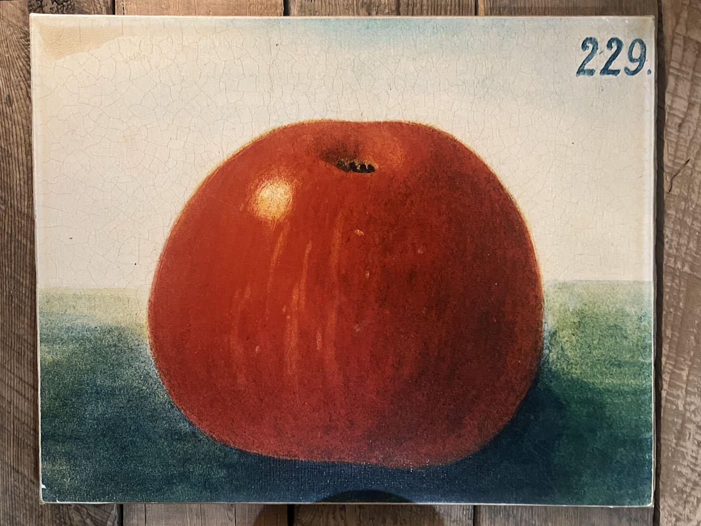 julytomatoeartpicture229.jpg