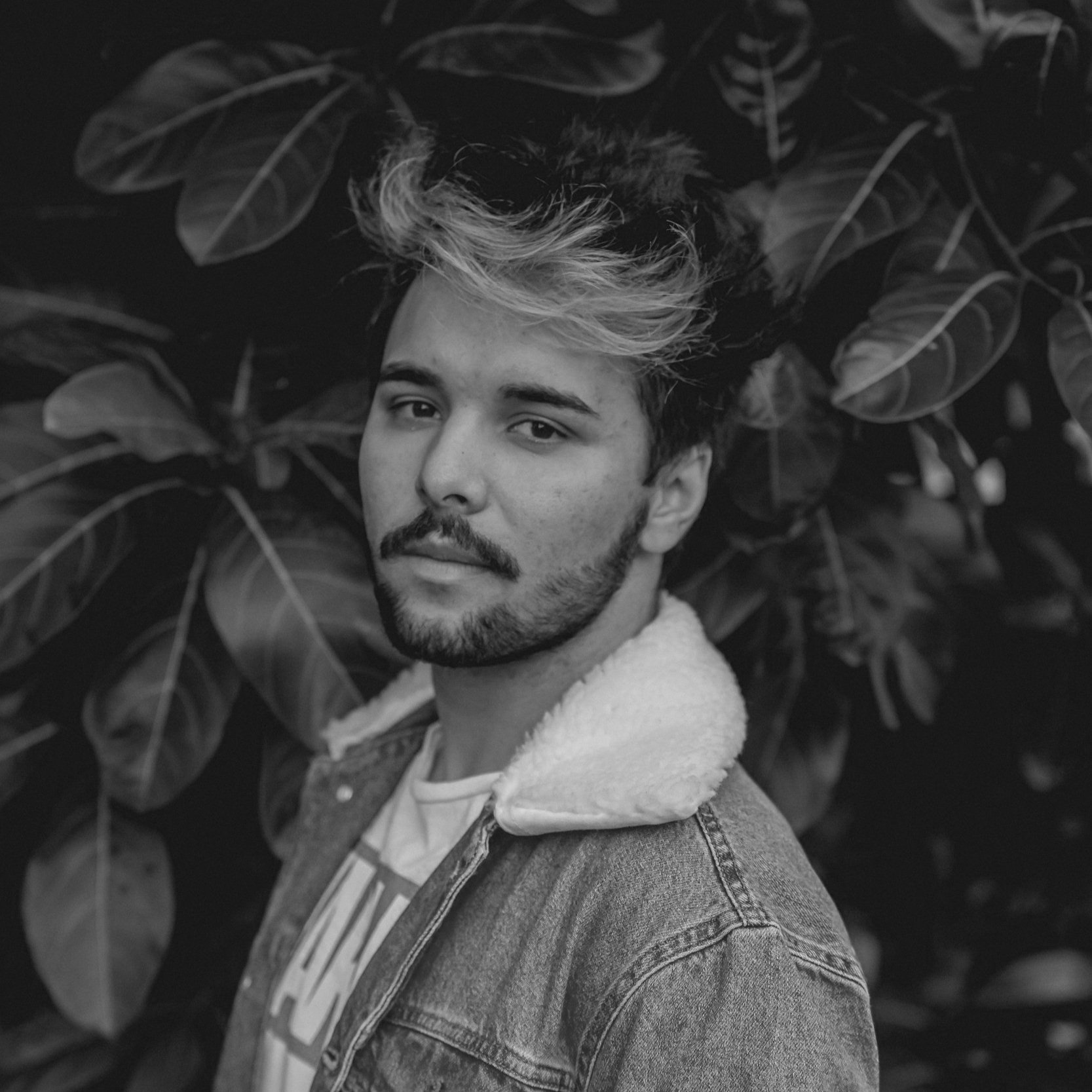 unsplash-image-wUTQBfuDKr8.jpg