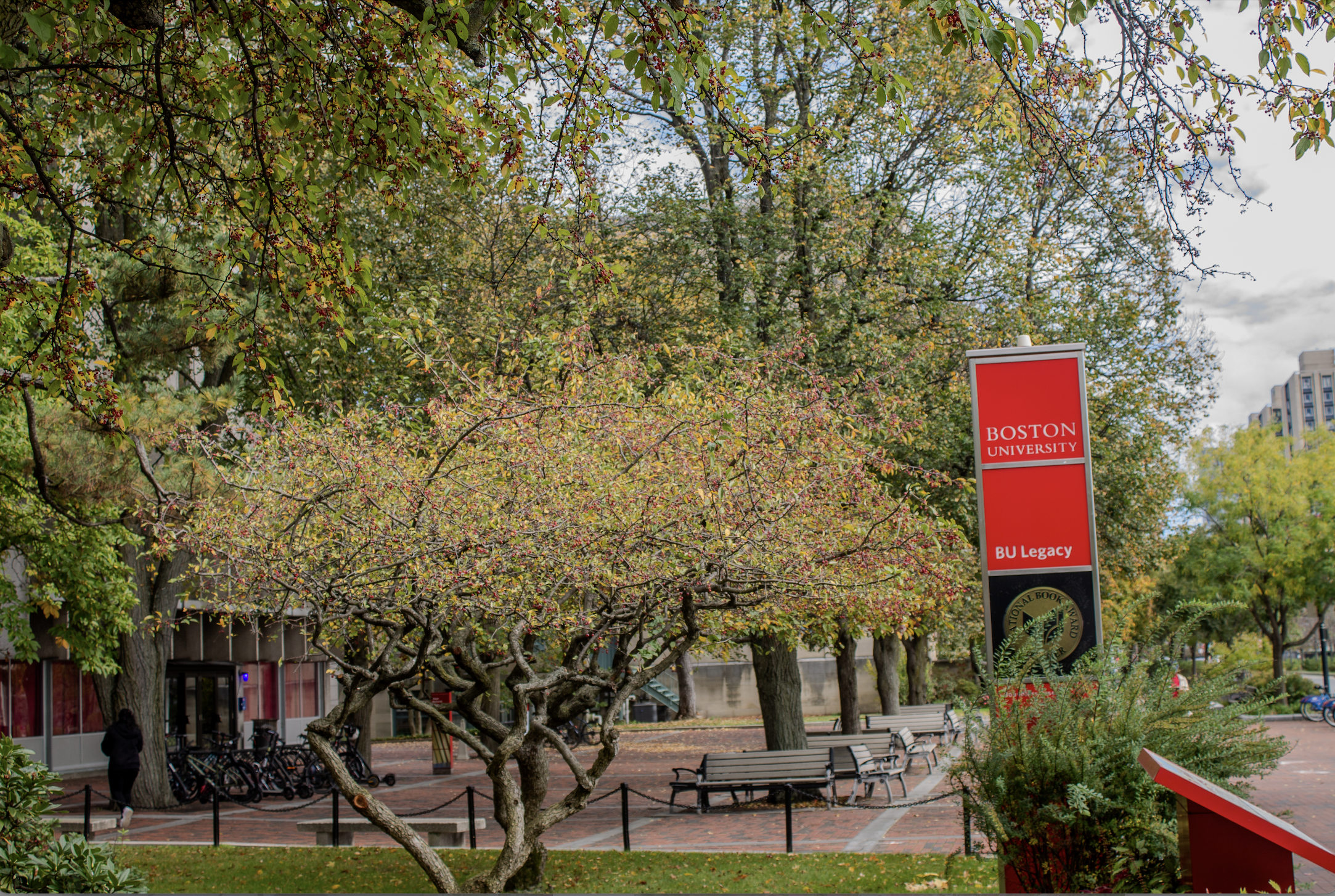 Screen Shot 2023-12-29 at 2.16.48 PM.png