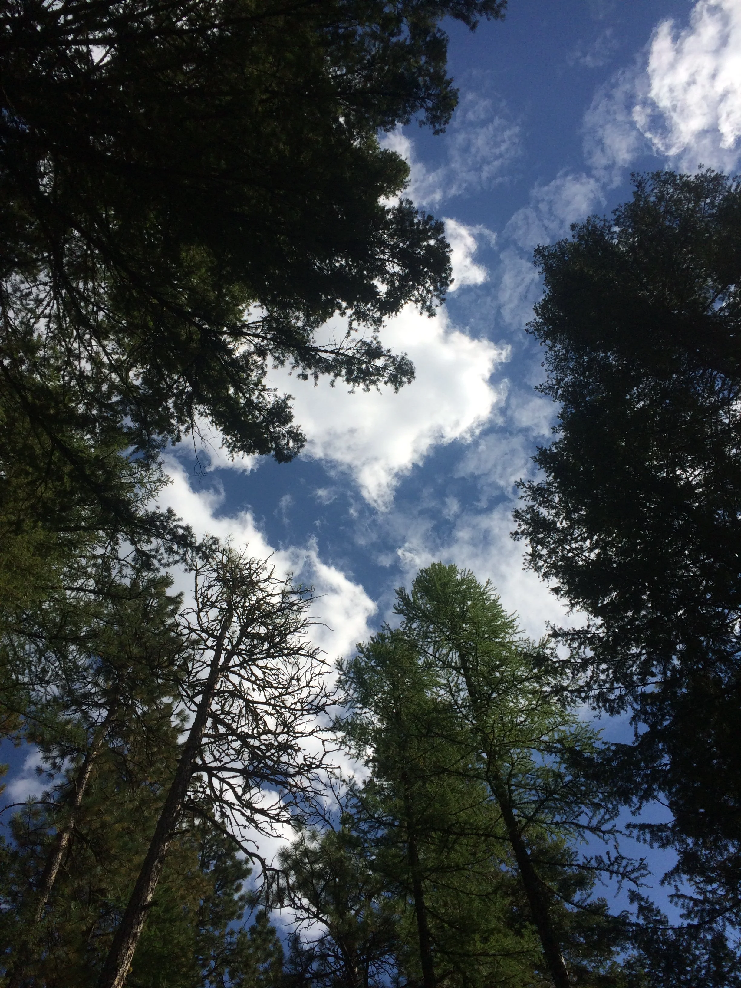 SoulMate vs TwinFlame