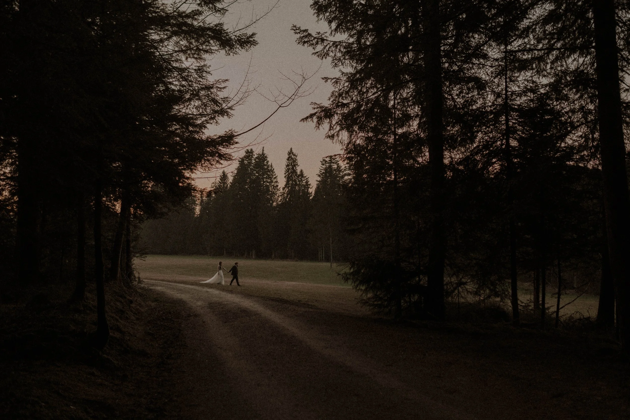 elopement-swiss-forest.jpg