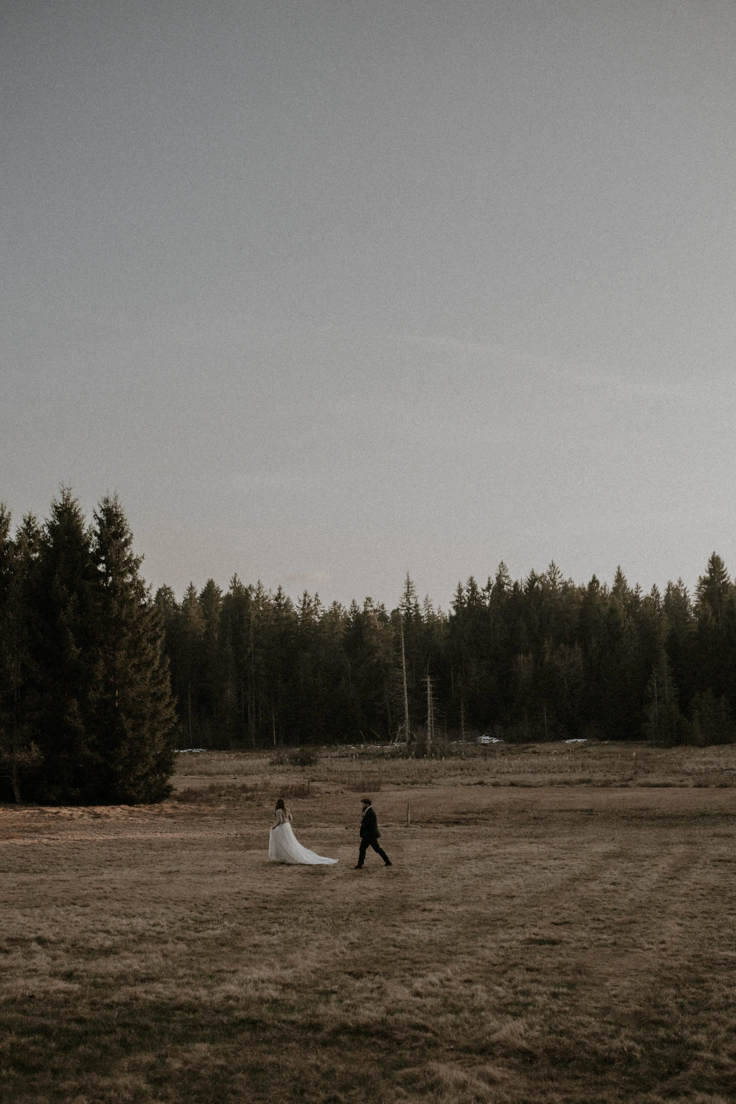 Cinematic element in the Swiss alps - Brautpaar läuft durch ruhige Landschaft mit natürlicher und emotionaler Stimmung