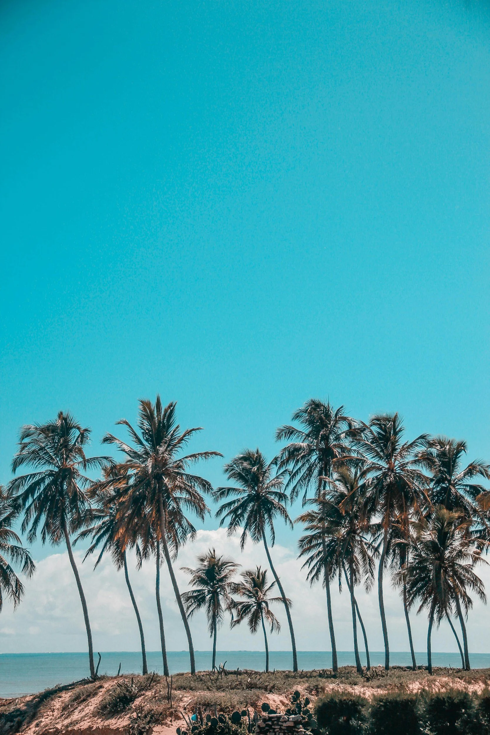 unsplash-image-GHcy_-Db8ss.jpg