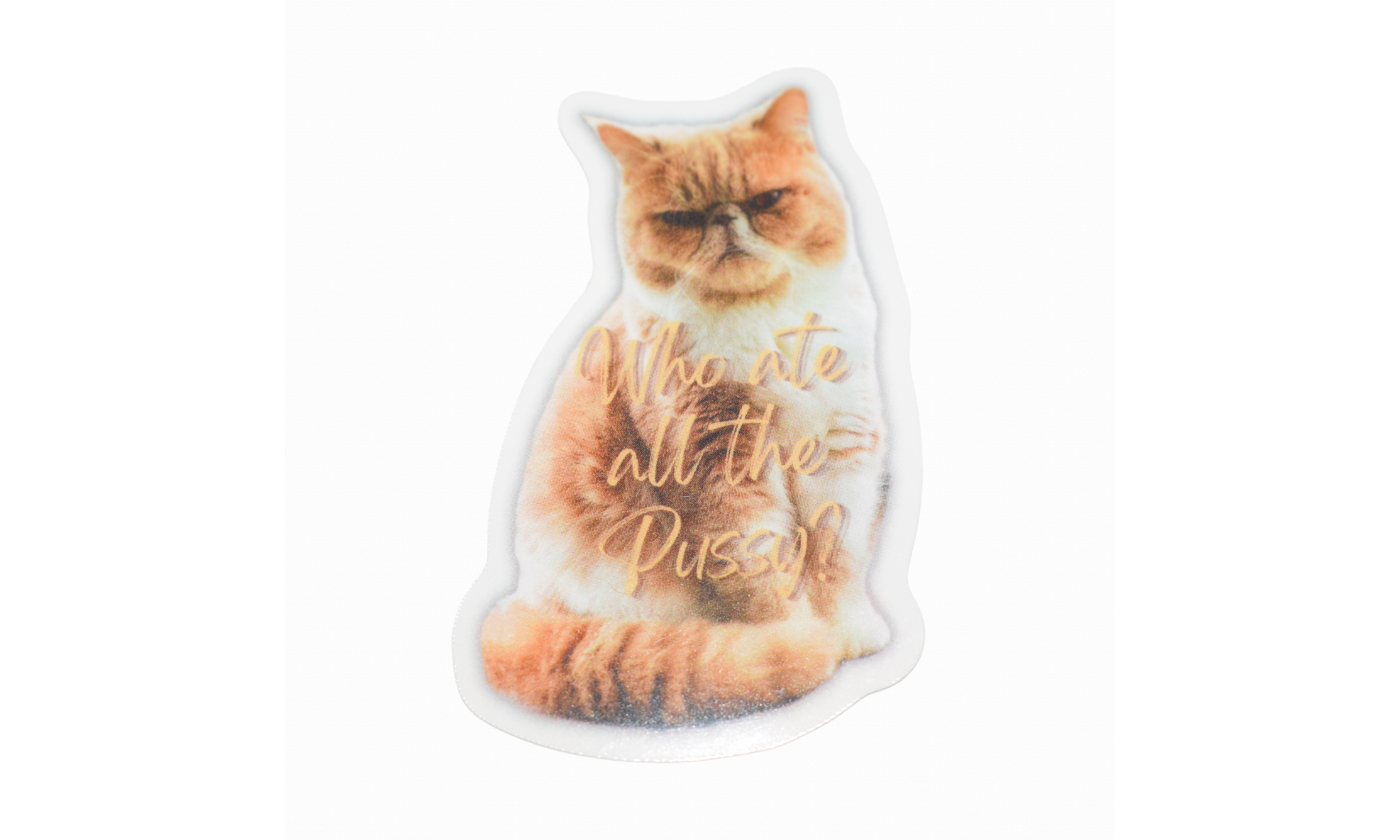 Missing Pussy